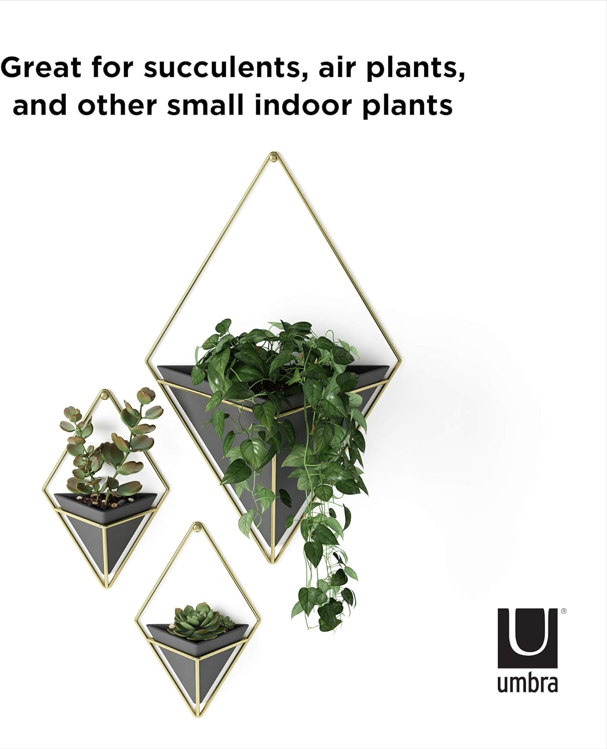 Umbra Trigg Hanging Planter Wall Decor Set, for Displaying Small Plants, Pens and Pencils, Makeup Accessories, Black/Brass image number 6