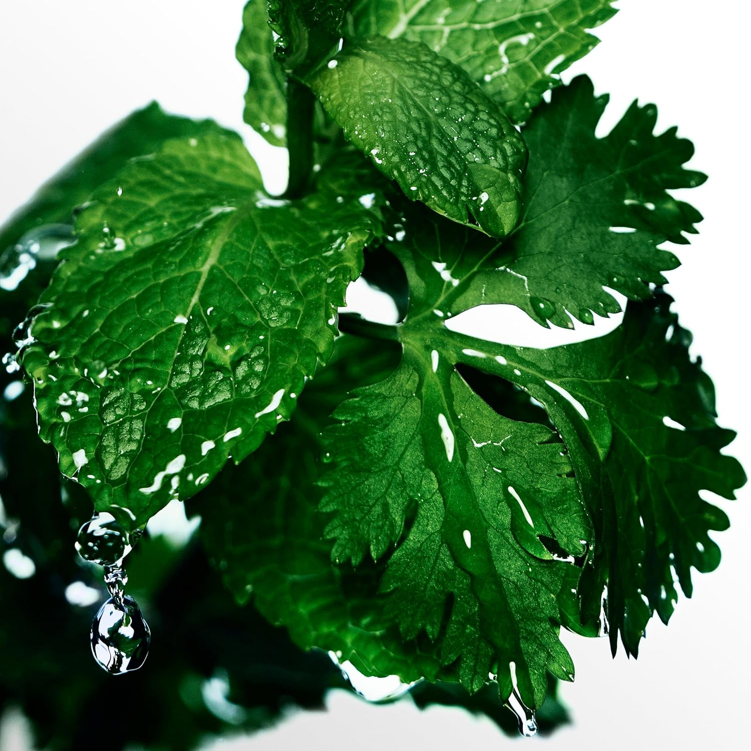 Davidoff Cool Water Spray 150Ml image number 3