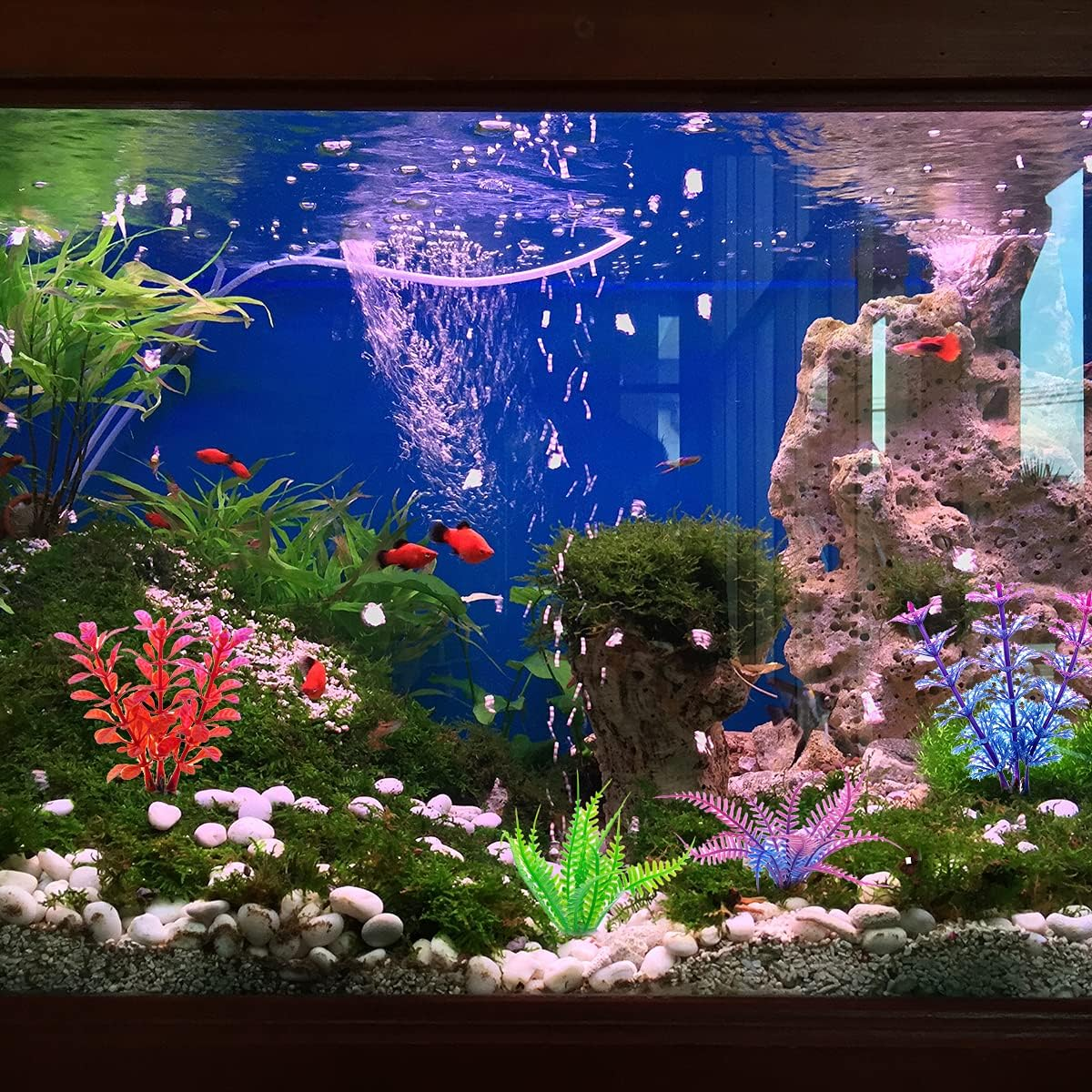 Fish Tank Plants, 8 PCS Aquarium Plants Decorations with Ceramic Base (About 10Cm) image number 3