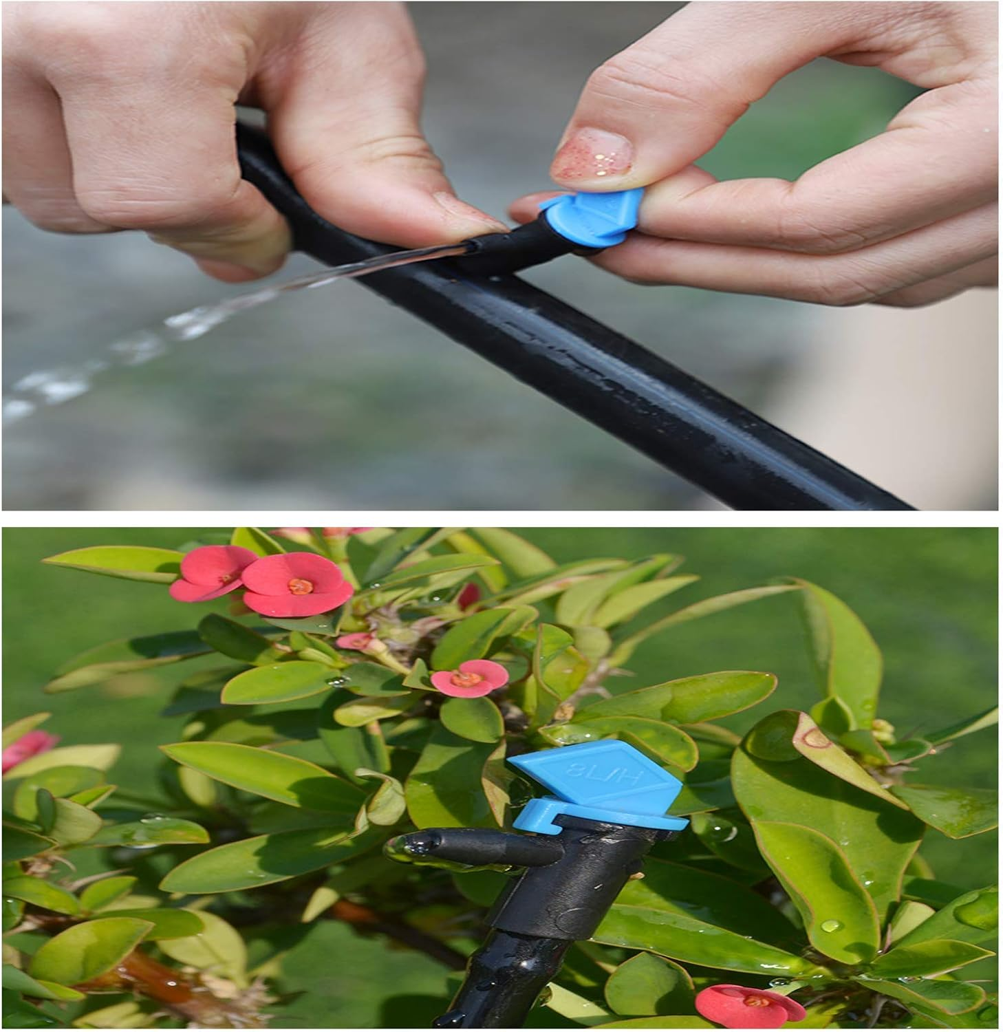 HOINCO 60 Pieces Drip Emitter, 3 Sizes Garden Flag Irrigation Dripper Emitter, Trees and Shrubs, per Hour1 GPH, 2 GPH, 4 GPH image number 6