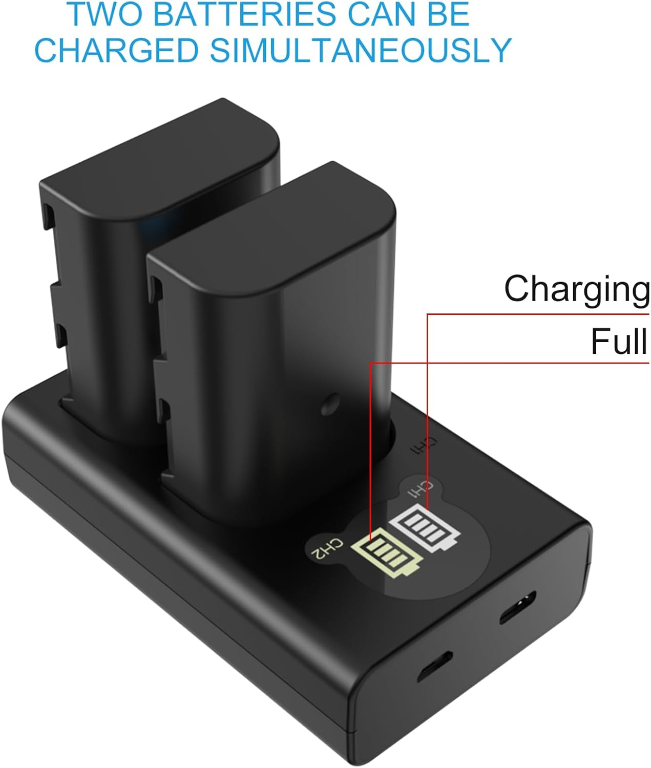 DMW-BLF19 DMW-BLF19E Battery (2 Pack) and Dual USB Charger Kit for Lumix DMC-GH3 DMC-GH3A DMC-GH3H DMC-GH4 DMC-GH4H DC-GH5 DC-GH5S DC-G9