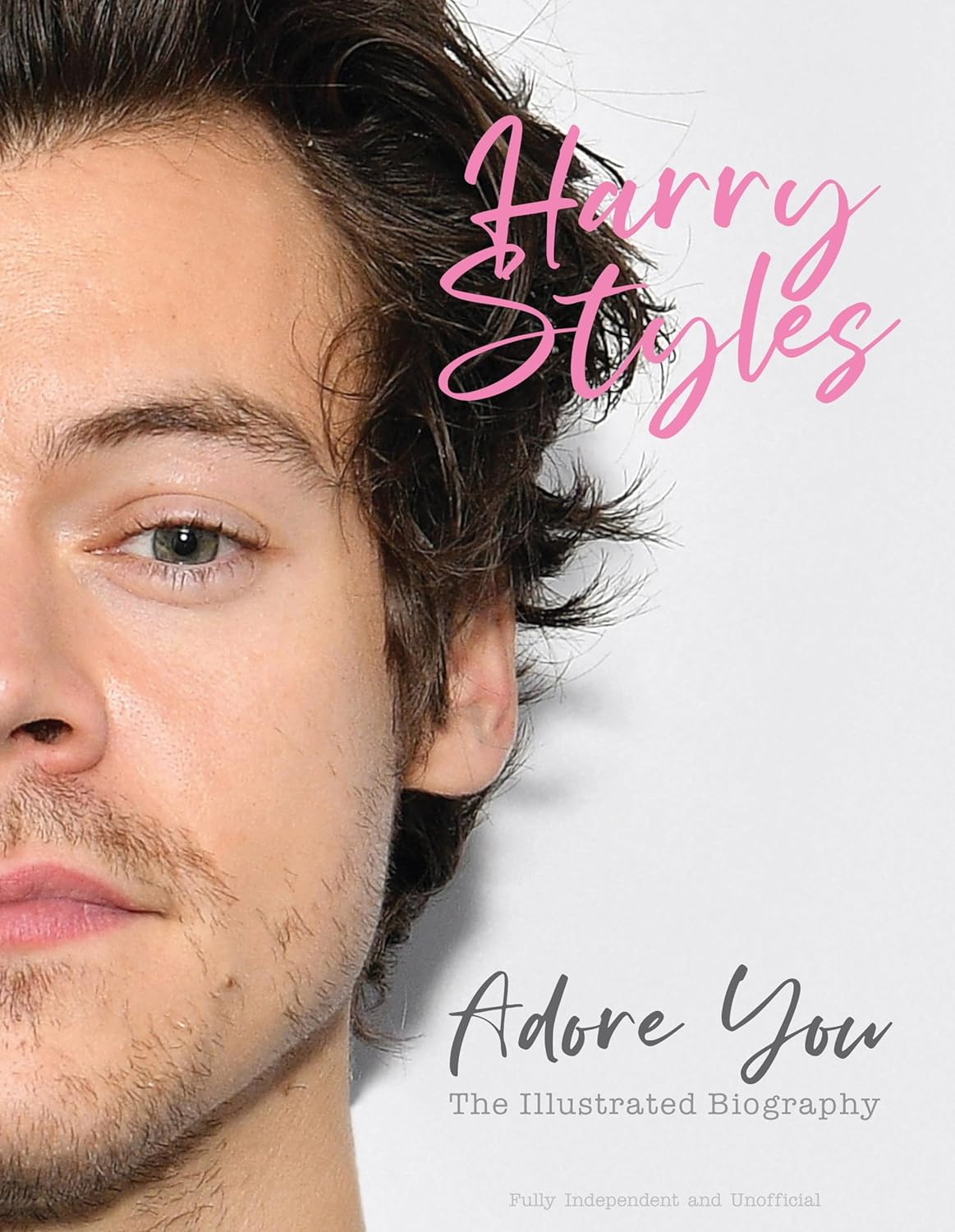 Harry Styles: Adore You: the Illustrated Biography image number 4