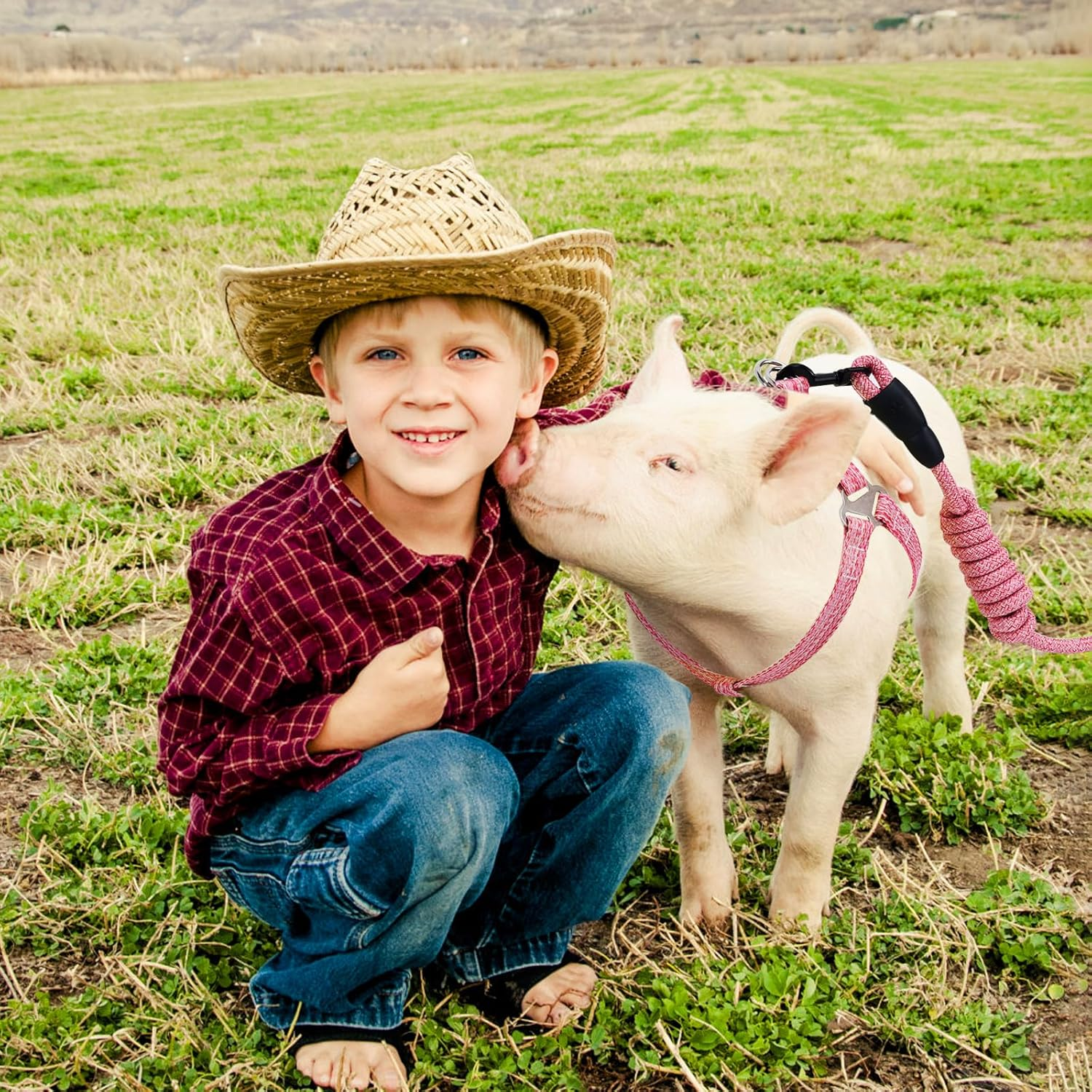 Mini Pig Harness, Adjustable Small Pig Harness with Leash Infinity Style Lead and Soft Foam Handle for Small to Medium Pet Pigs Walking Training Jogging（Pink） image number 6