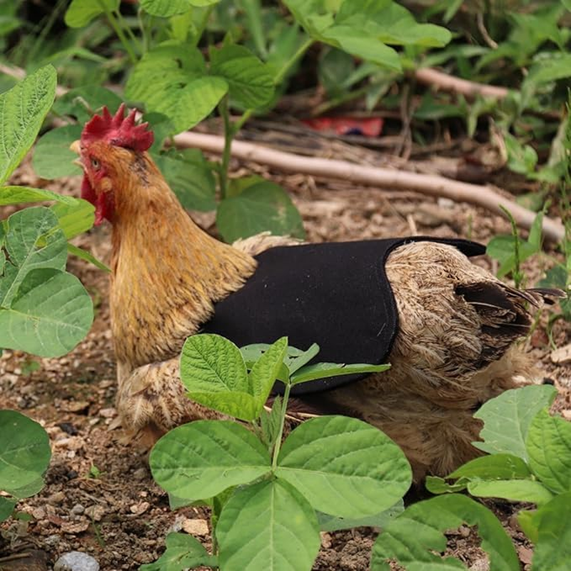 Chicken Saddles for Hens | 3X Chicken Hen Mating Saddle Clothes - Protective Small Medium Breeds Poultry Clothes for Farm Yard Garden Outdoor (Multicolor)