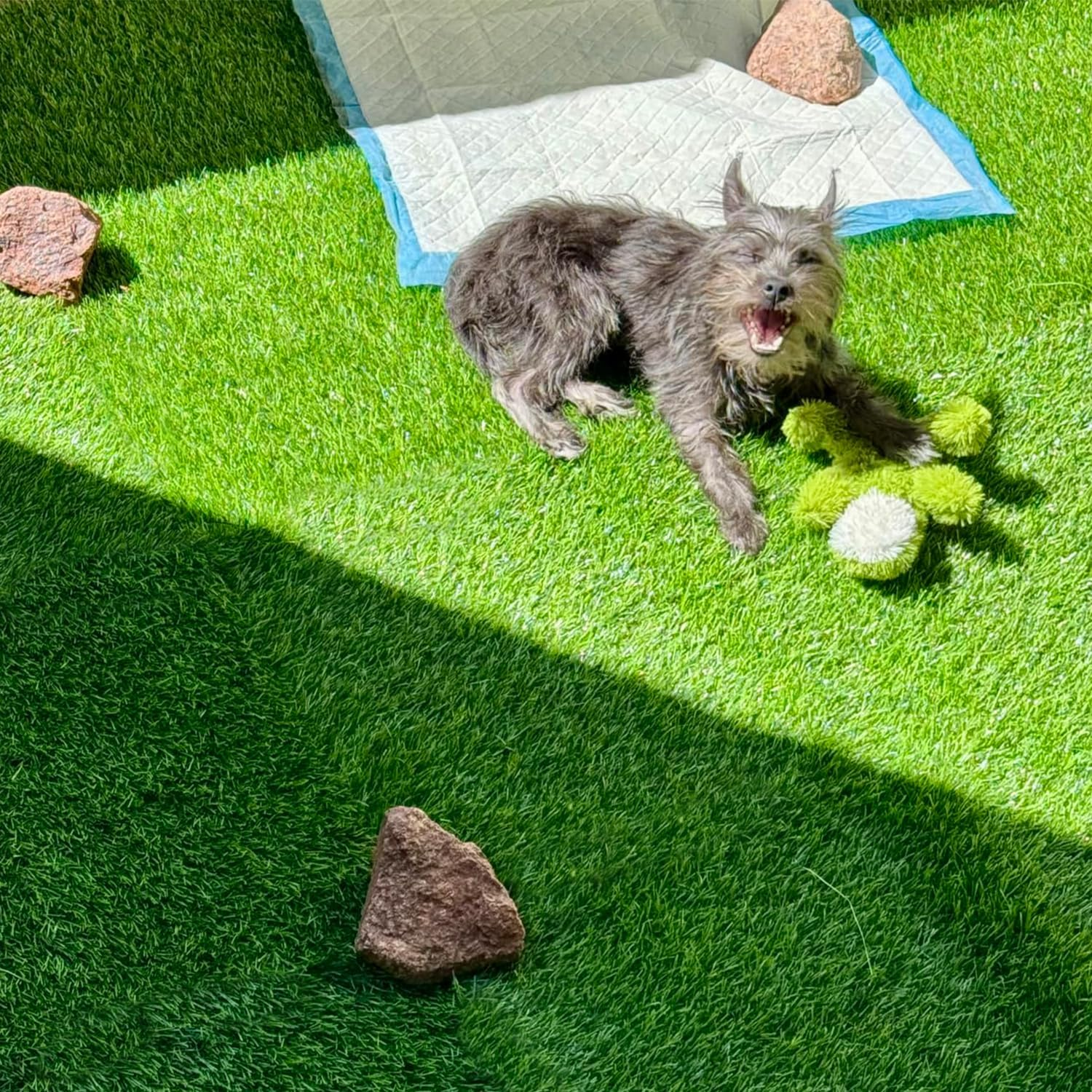 WUTUSENT 120X80Cm 30Mm Artificial Grass, 3Cm Thickness Professional Dog Grass Mat, Potty Training Rug and Replacement Turf Outdoor Rug Patio Lawn Decoration, Easy to Clean with Drainage Holes image number 2