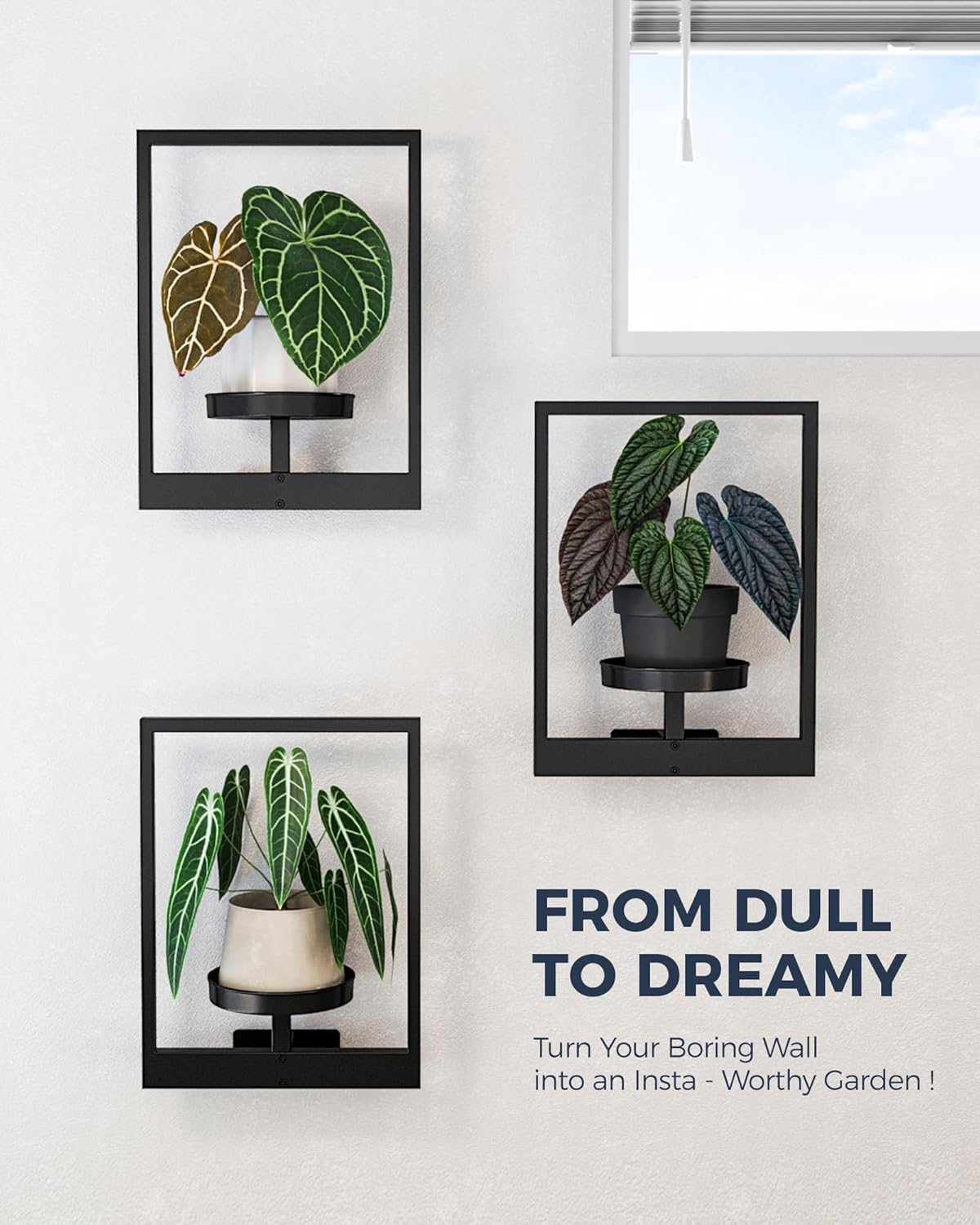 Bamworld Picture Frame Wall Plant Holder Window Plant Shelf Wall Decor Wall Hanging Planters Plant Hanger Outdoor Wall-Mounted Plant Rack Black Metal 3 Pack (Patent Design)