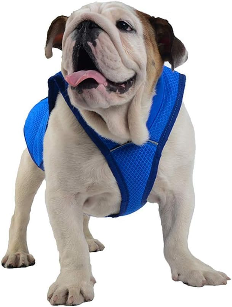 Dog Clothes Cooling Jacket for Dogs Cool Dog Vest Dog Cooling Cool Vests Coats for Dogs Cold Dog Vest,Xs,Blue