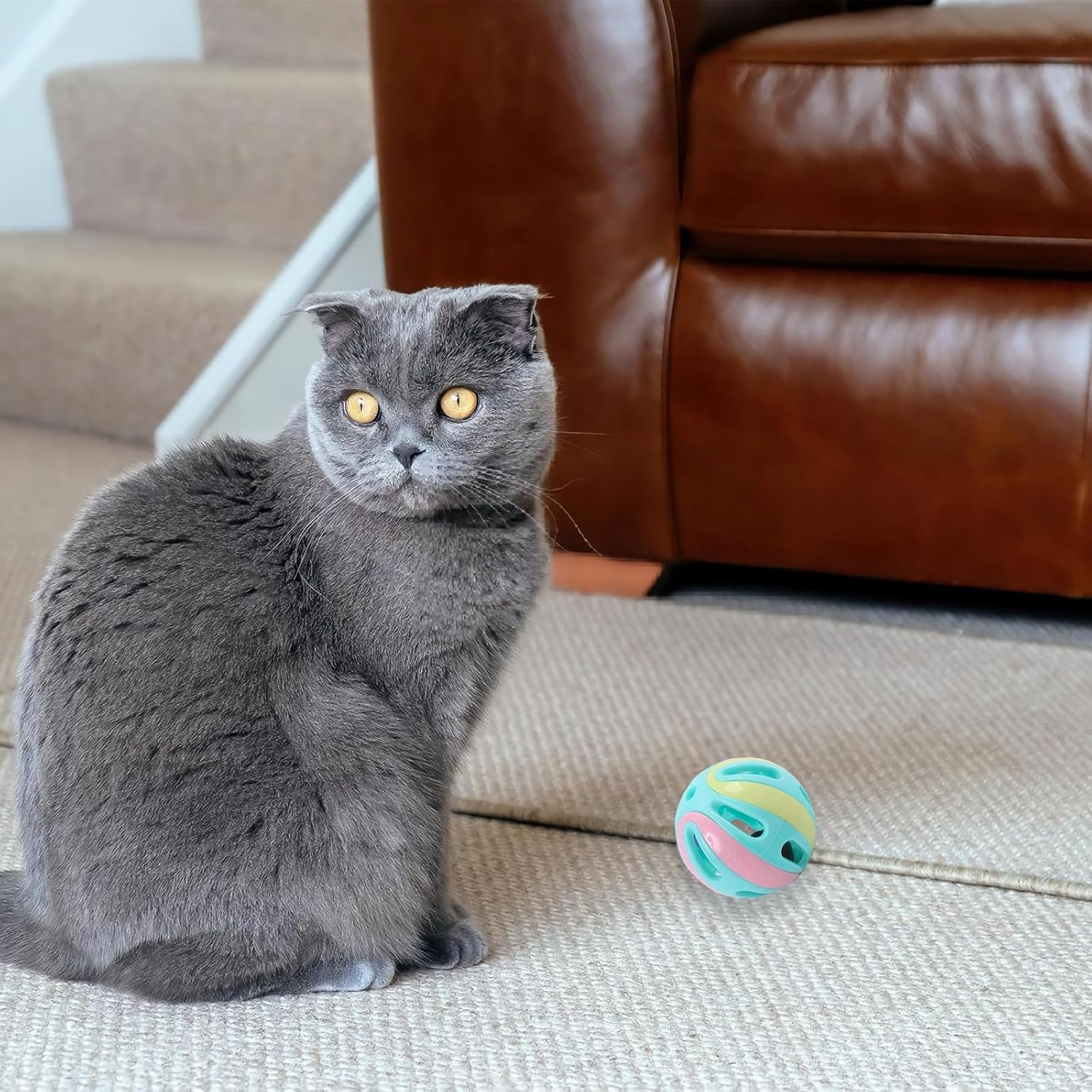 6Pcs Cat Toy Balls with Bell 8Cm Plastic Ball Cat Toys Jingle Bell Cat Toy Interactive Plastic Cat Toy Ball Large Cat Ball Pet Toys with Bell Kitten Activity Chase Pounce Play for Indoor Cats Kittens image number 2