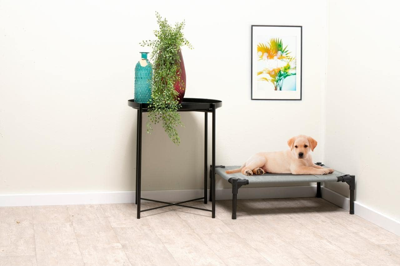 Maxxpro Dog Bed on Legs - Good Ventilation - Includes Carry Bag - Max 20Kg - Small image number 6