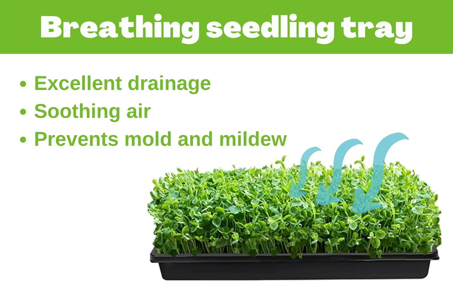 Begrit 1020 Seeding Trays Microgreen Growing Tray (Drain Holes(10 Pack)) image number 6