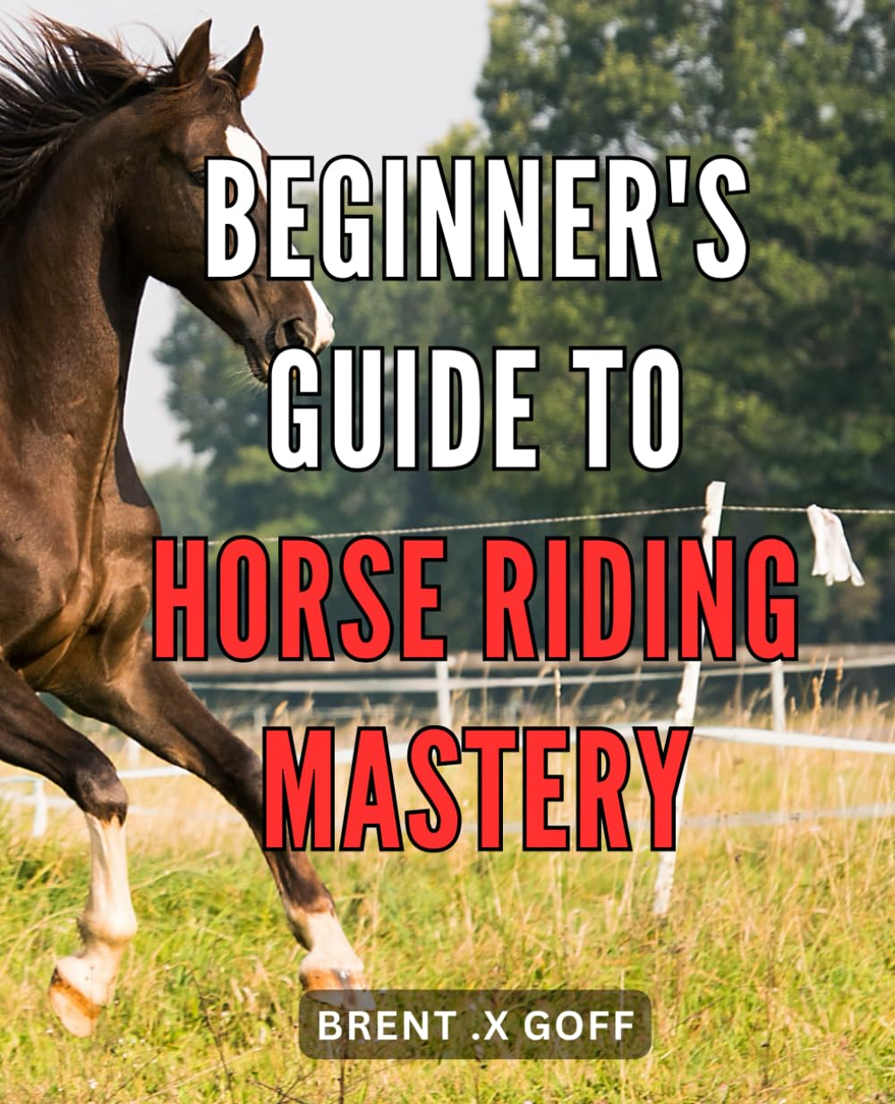 Beginner'S Guide to Horse Riding Mastery: Unleash Your Inner Equestrian: a Step-By-Step Guide to Mastering the Art of Horse Riding image number 1