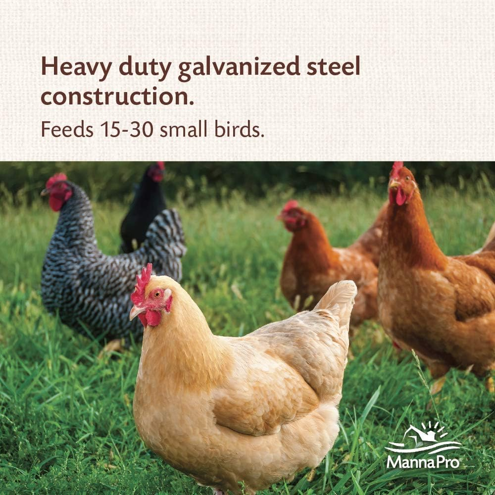 Harris Farms 1000293 Galvanized Hanging Poultry Feeder, 15 Lbs, Metal image number 5