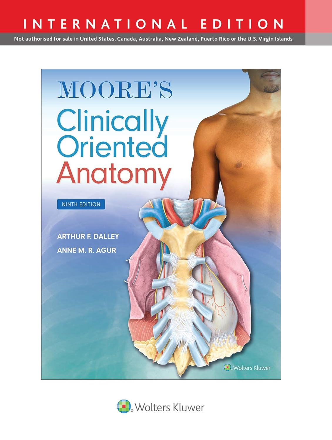 Moore'S Clinically Oriented Anatomy