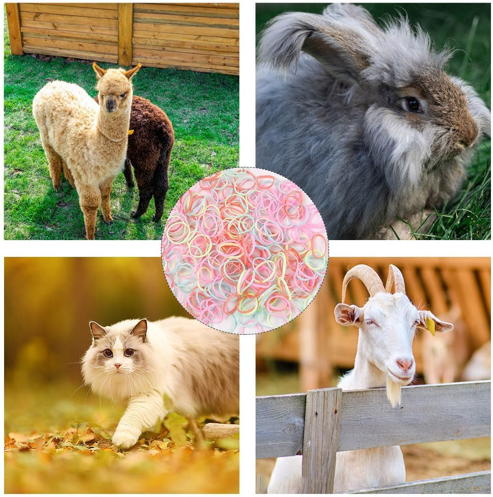 Butyeak Dog Hair Rubber Bands, Pack of 1000 Mini Hair Bands, Mini Elastic Colourful Pet Rubber Bands, Small Dog Hair Bands, Small Hair Bands, Small Rubber Rings, Small, Transparent image number 6