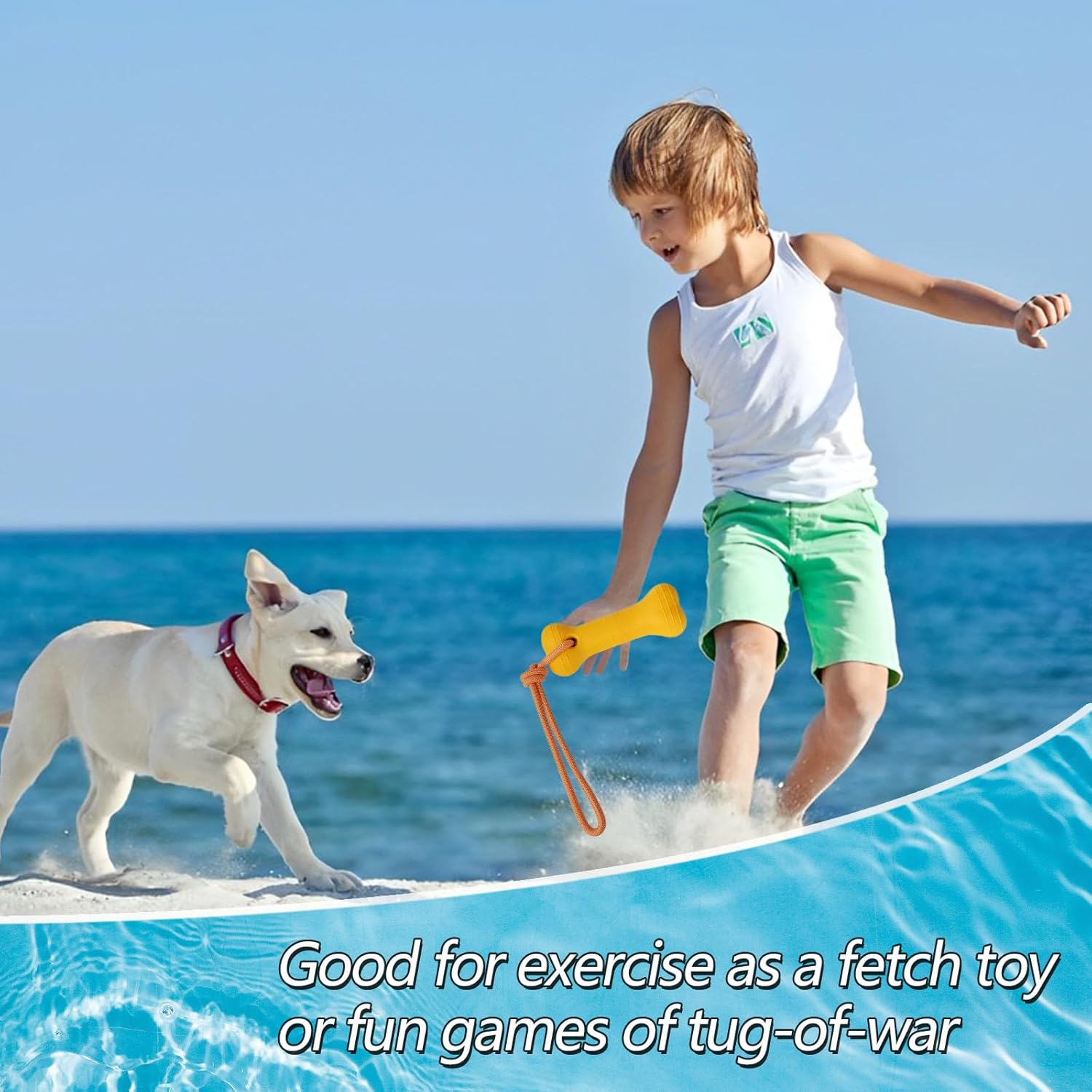 Lovelypaws 2 Pack Floating Dog Toys, Water Fetch Dog Pool Toys, Interactive Training Bumper for Dogs image number 1