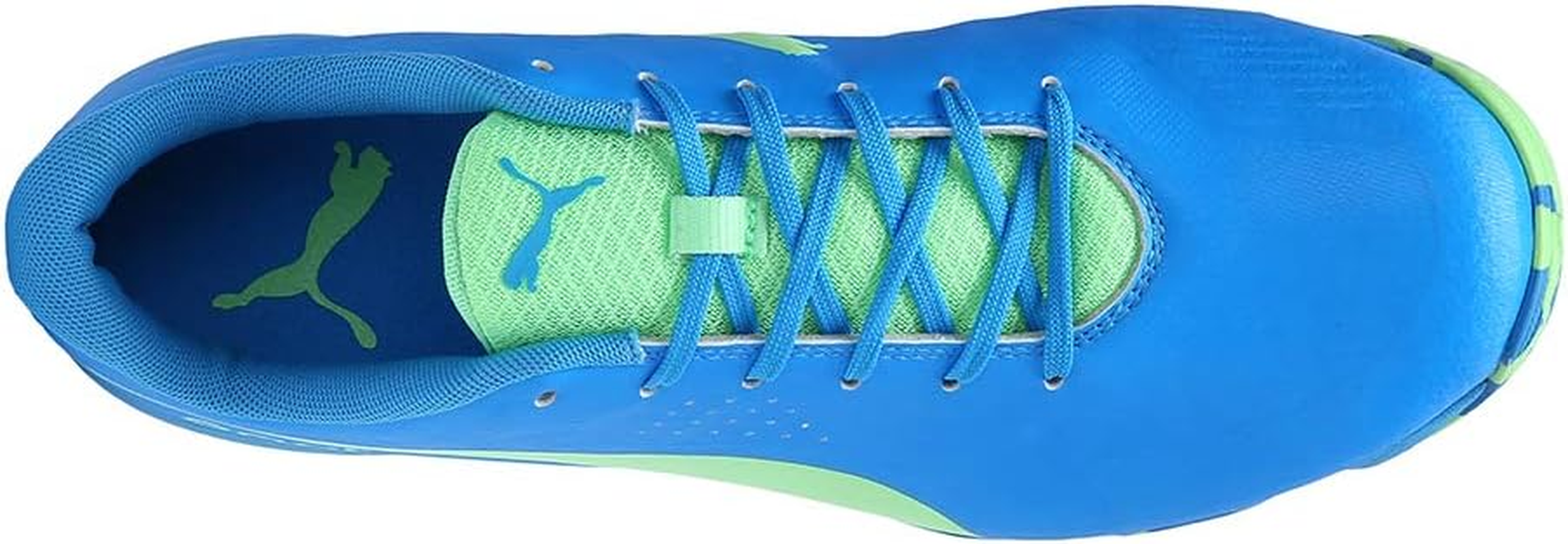 Puma Men'S Cricket Shoe
