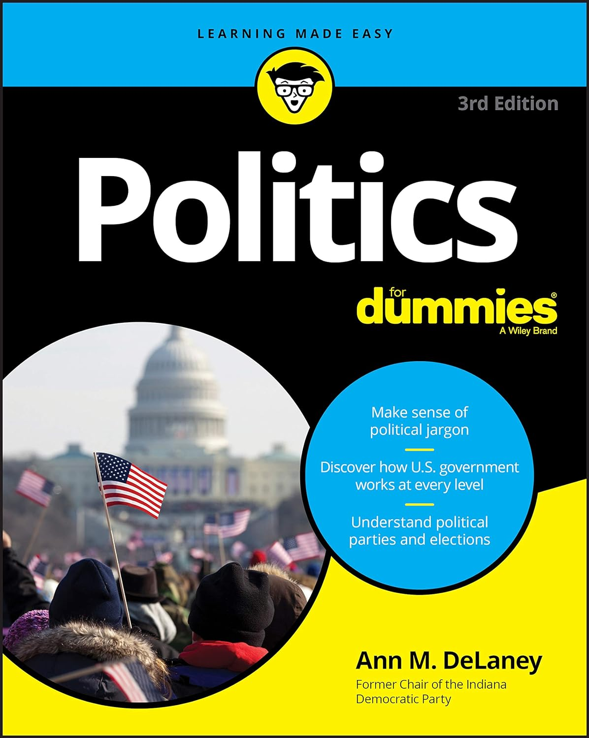 Politics for Dummies image number 1