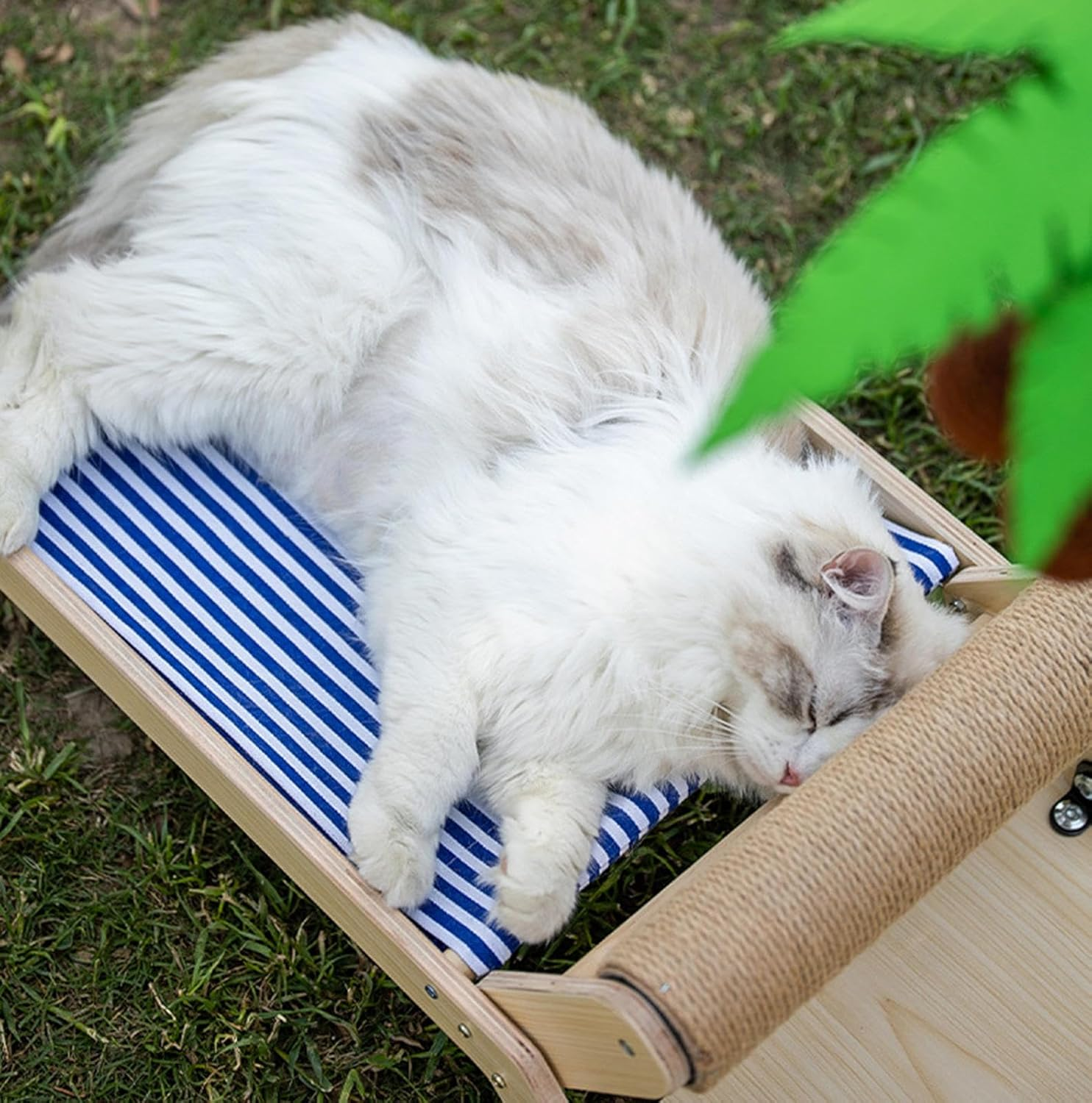 Cute Coconut Tree Cat Scratching Post for Indoor Cats, Cat Scratcher Coconut Kitten Scratching Post for Kittens and Adult Cats with Hanging Ball,B image number 1