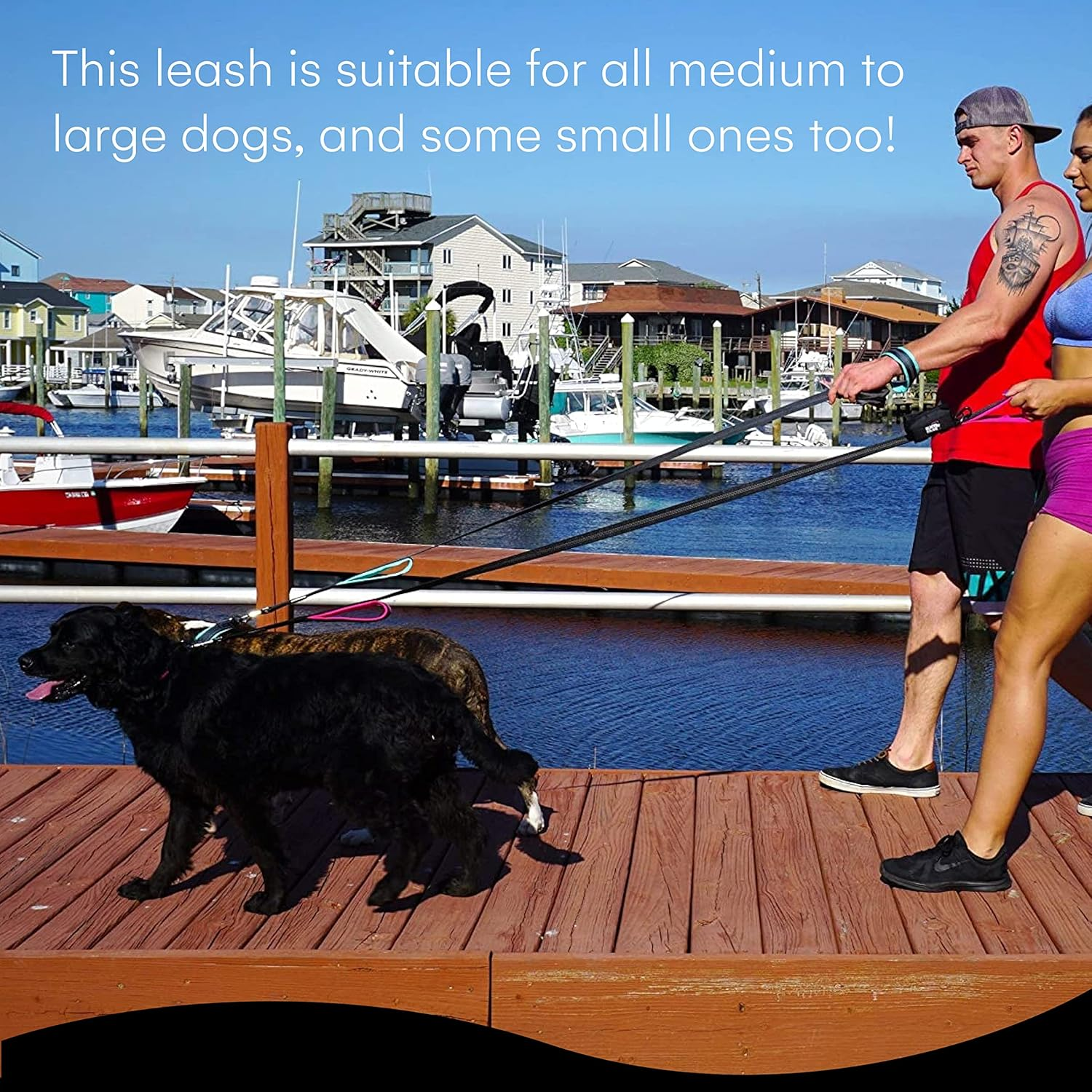 Black Rhino Dog Leash - Heavy Duty - Medium & Large Dogs | 6Ft Long Leashes | Two Traffic Padded Comfort Handles for Safety Control Training - Double Handle Reflective Lead - (Pink) image number 4