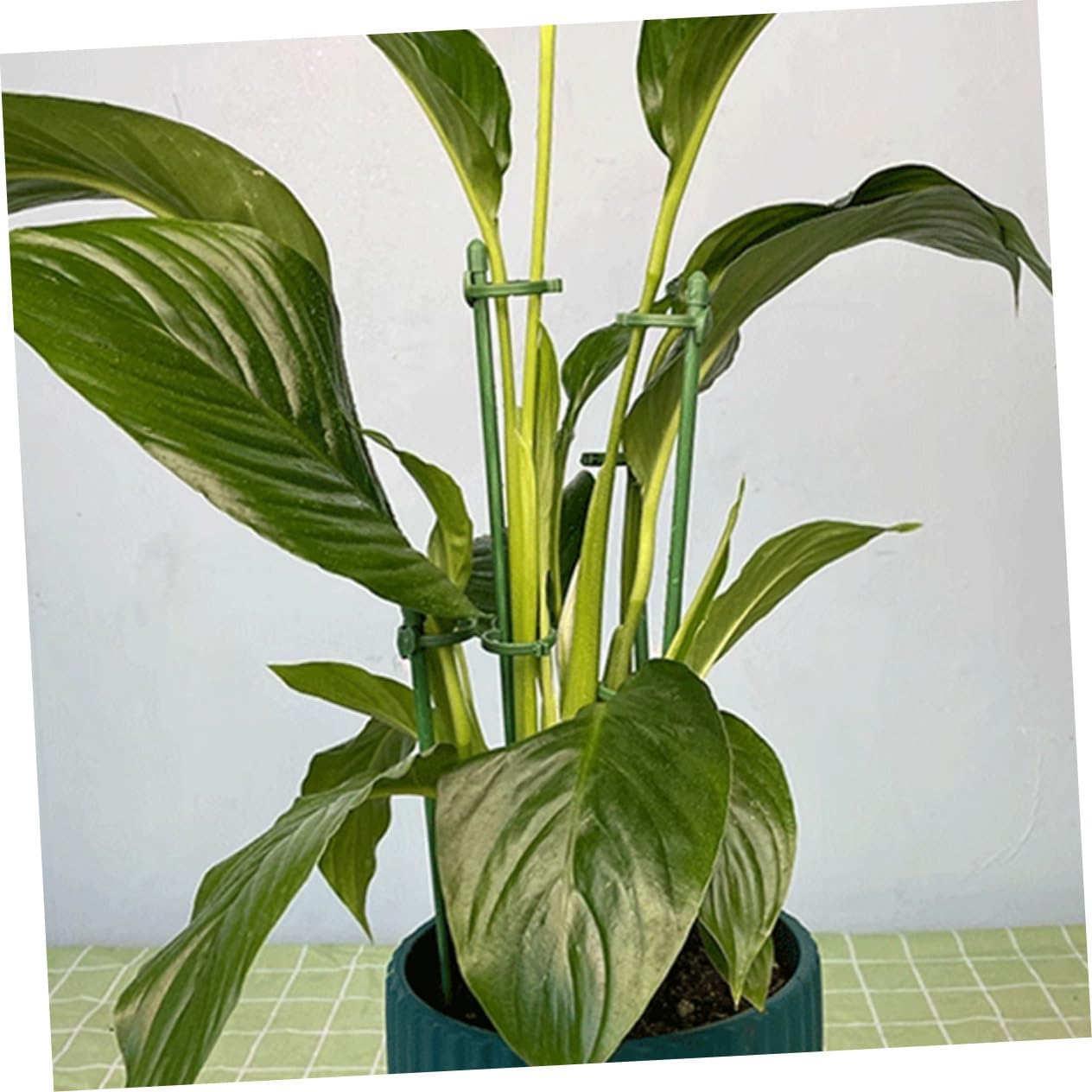 12Sets Flower Vegetable Plant Stakes Garden Support Sticks Plant Support Stakes for Strong Winds Rain image number 6