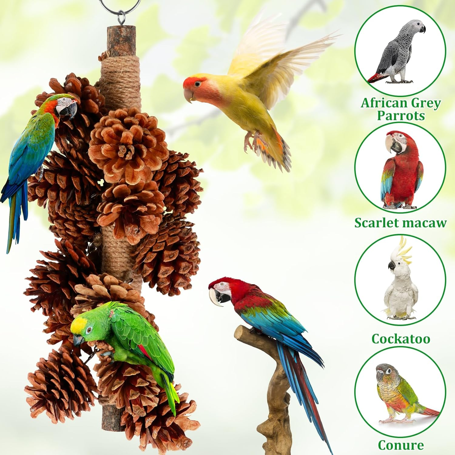 Parrot Chewing Toy with 18 Pine Cones Natural Wooden Parrot Toys Hangable Bird Parrot Chewing Toy Wooden Bird Chewing Toy Suitable for Cockatiels, Conures, Finches, Parrots, Macaws, Parrots image number 2