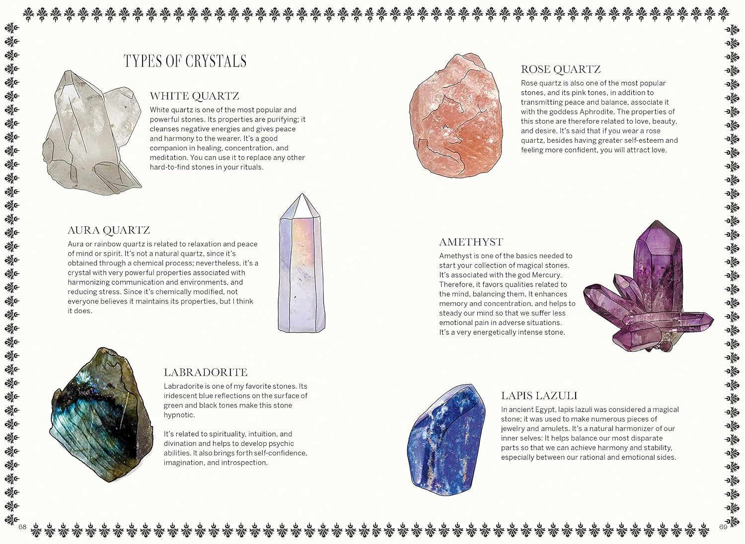 Magicka: Finding Spiritual Guidance through Plants, Herbs, Crystals, and More image number 6