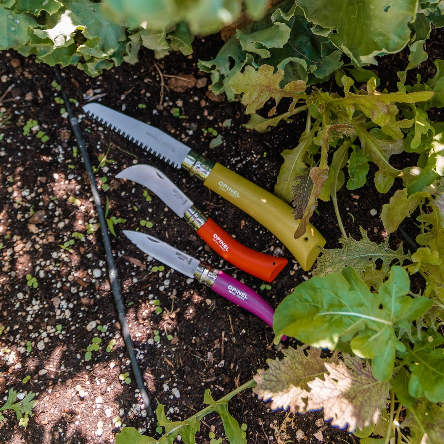 Opinel 3-In-1 Gardener'S Tool Wooden Box with N Degree12 Apple Green Handle Saw Knife image number 6