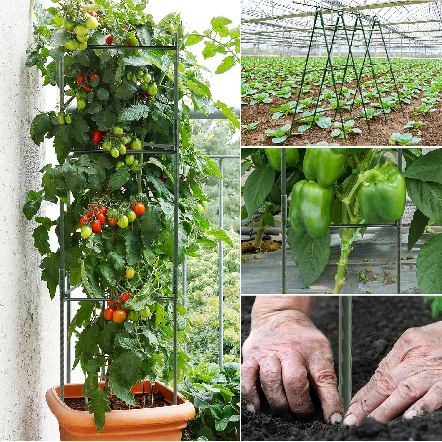 3 Sets Tomato Supports Cages, Garden Plant Support for Climbing Plants Vegetables Flowers, with 20 Clips and 50 Twist Tie, 30Meters Rope image number 2