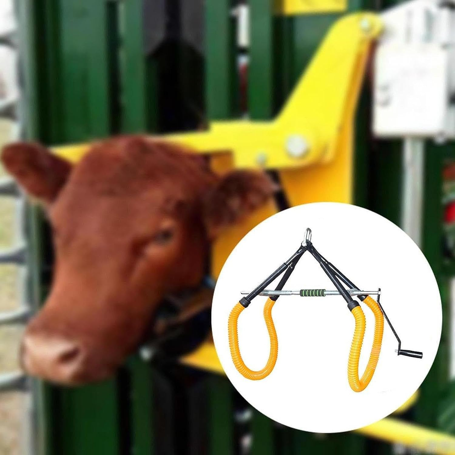 Adjustable Cow Lifter for Assisting Cattle with 1000Kg Capacity, Green - Green image number 3