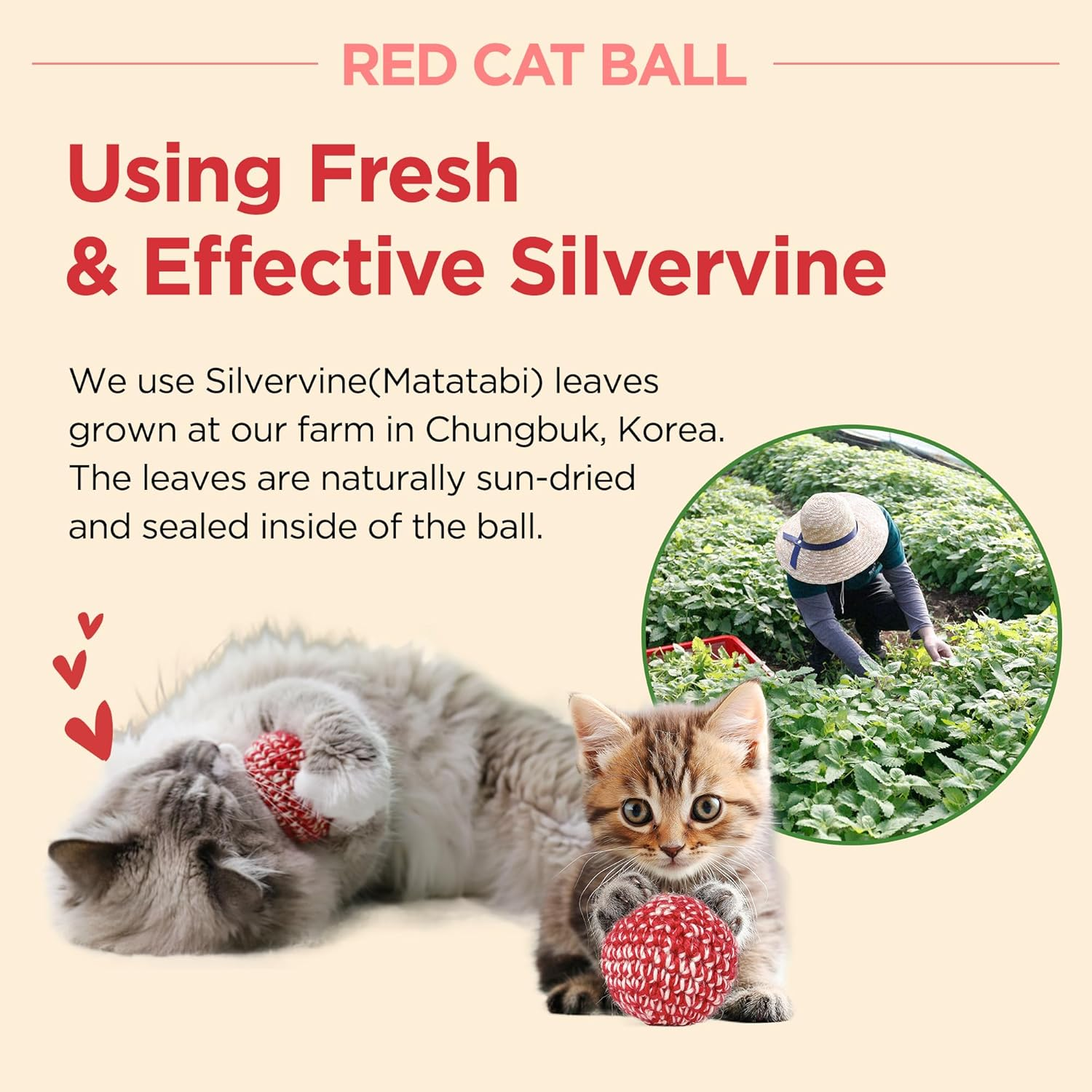 JAYU PET Red Cat Ball [W/Bell Version] - Handmade Silvervine Cat Toy with Catnip, Interactive Matatabi Ball for Indoor Cats & Kittens, Feline Play Toy & Gift (7Cm) image number 6