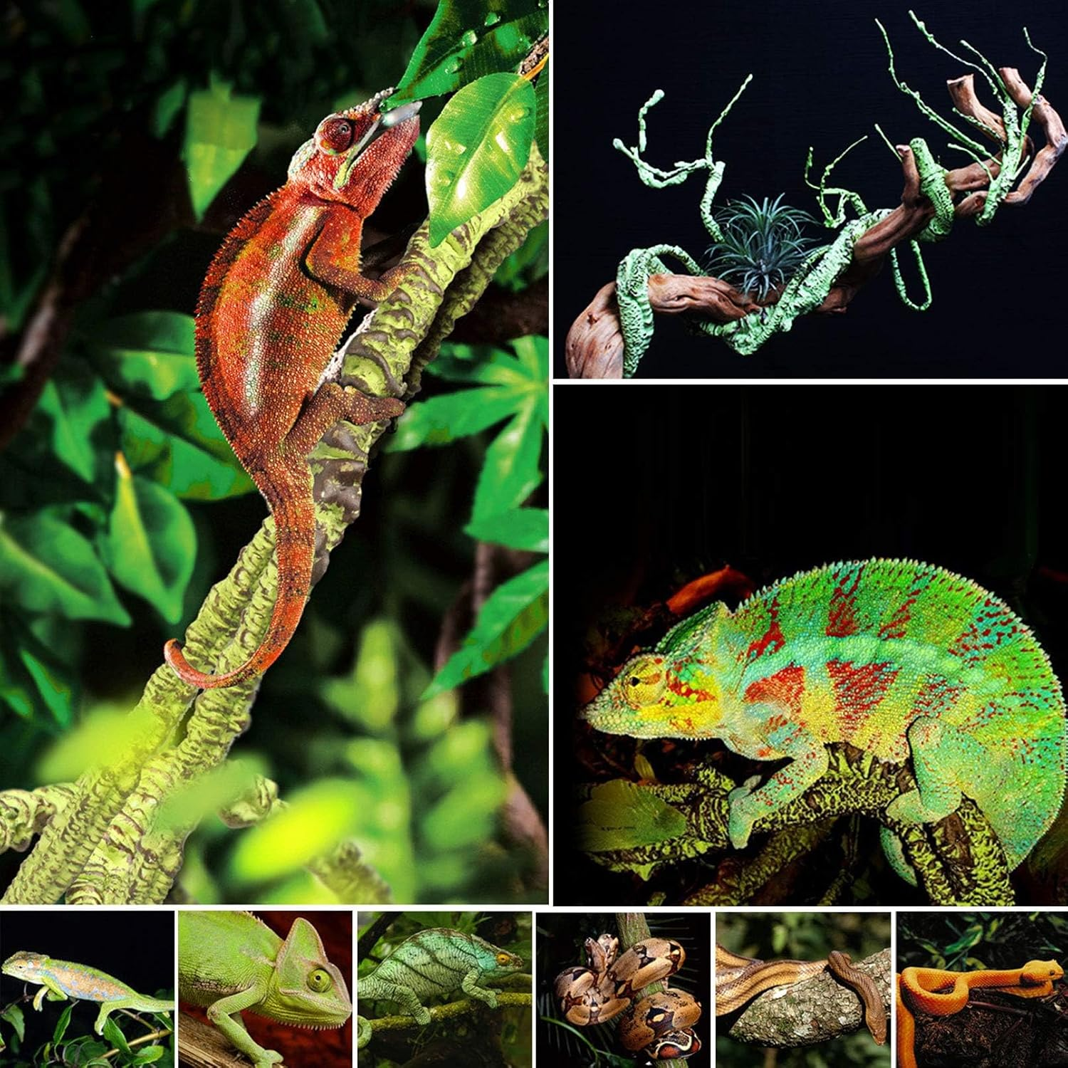 Kathson 3 PCS Reptile Vines Plants Flexible Bendable Jungle Climbing Vine Terrarium Plastic Plant Leaves Pet Tank Habitat Decor for Bearded Dragons Lizards Geckos Snakes Frogs and More Reptiles image number 5