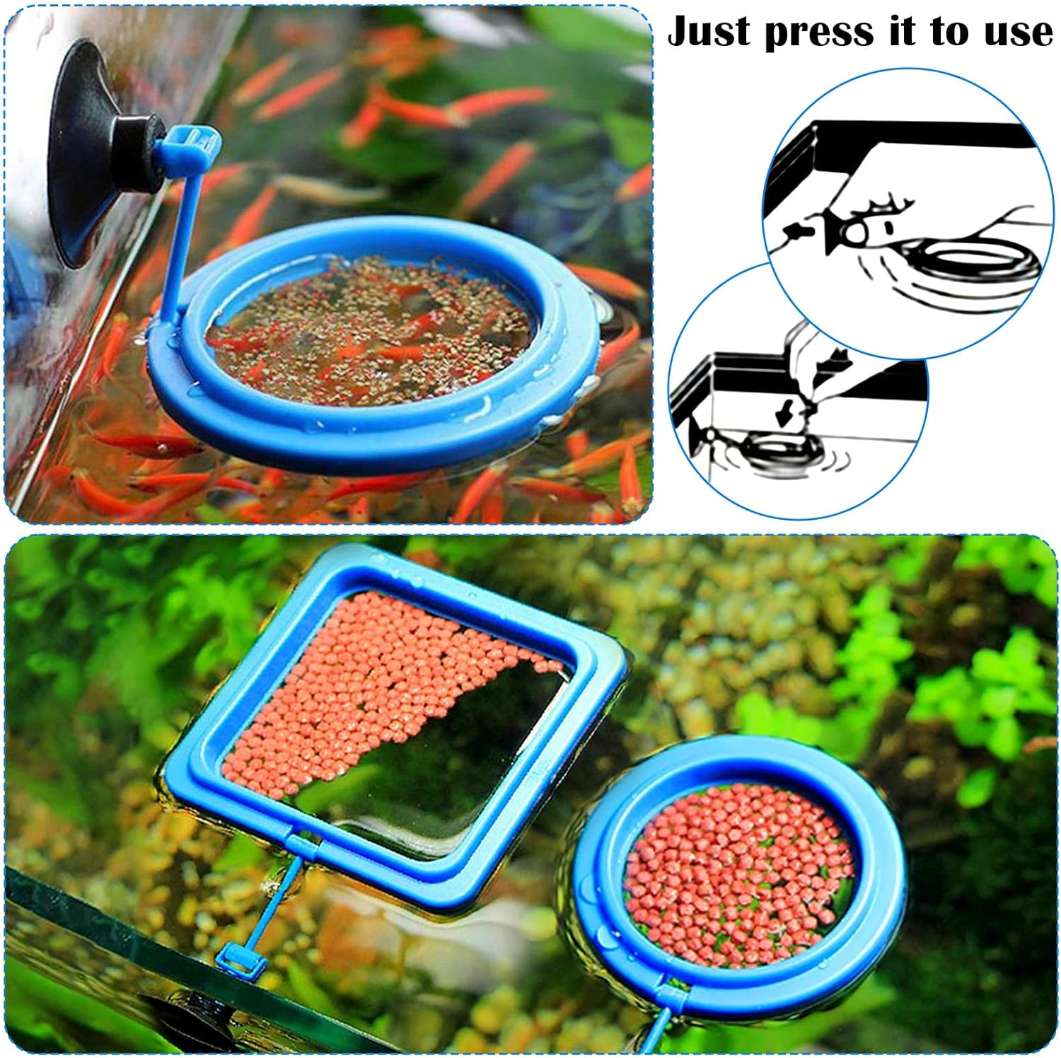 2 Pcs Fish Feeding Rings, Bule Aquarium Floating Plant Rings Fish Feeder Food Feeder Circle round and Square Aquarium Accessories for Bettas Guppy Goldfish Floating Plants in Place image number 2