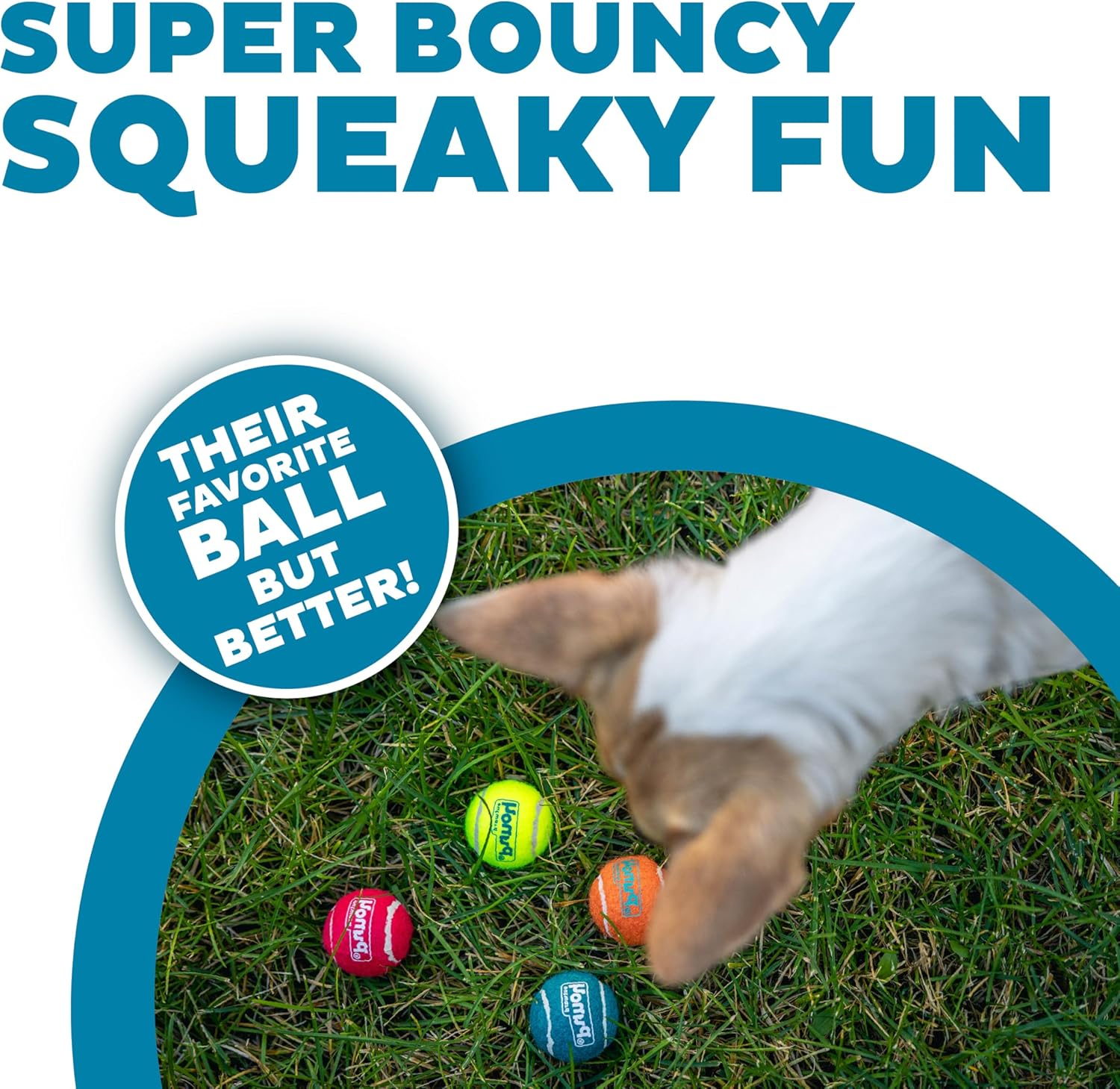 Outward Hound Squeaker Ballz Fetch Dog Toy, XS - 4 Pack image number 6