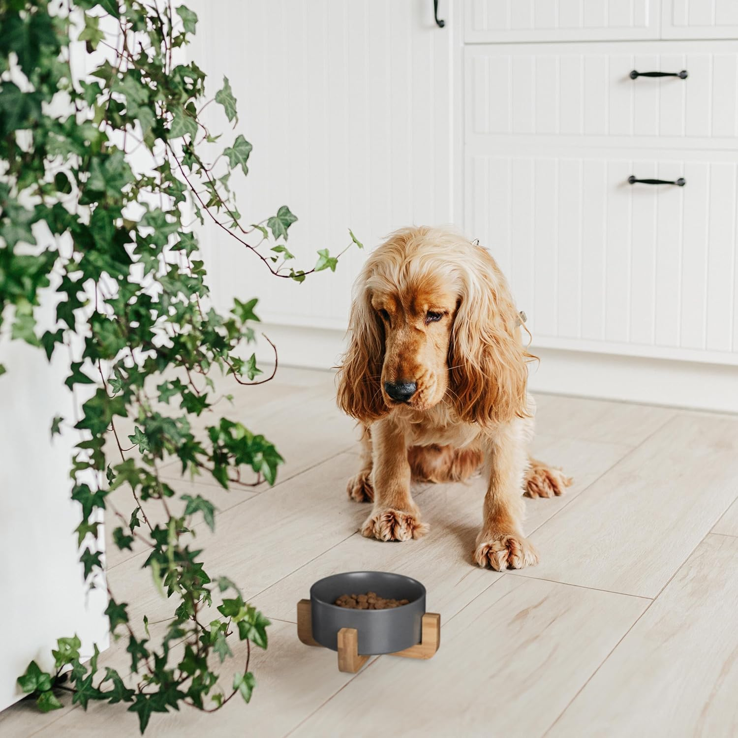 Relaxdays Ceramic Dog Bowl 850 Ml for Food & Water Feeding Bowl with Bamboo Frame H X W X D: 9 X 20 X 20 Cm White