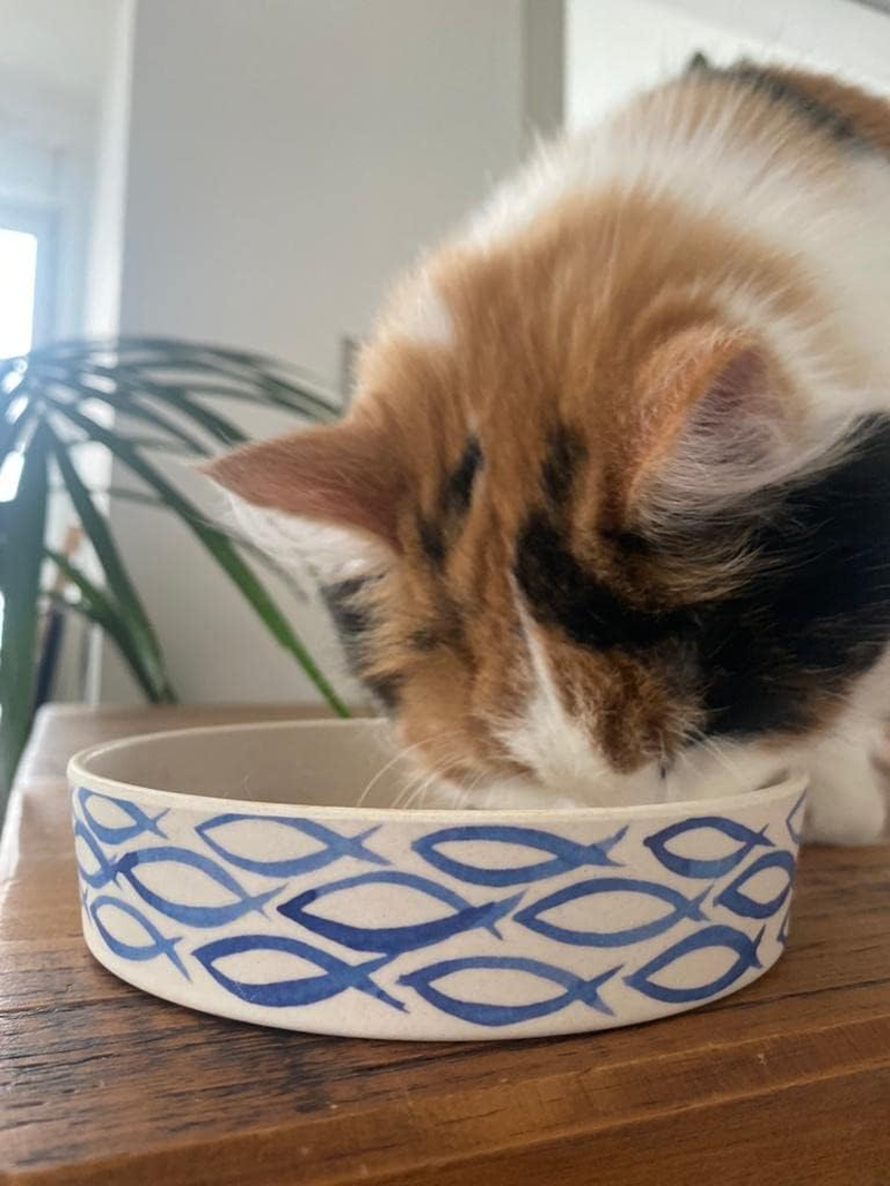 Beco Printed Bamboo Cat Bowl, Gone Fishing
