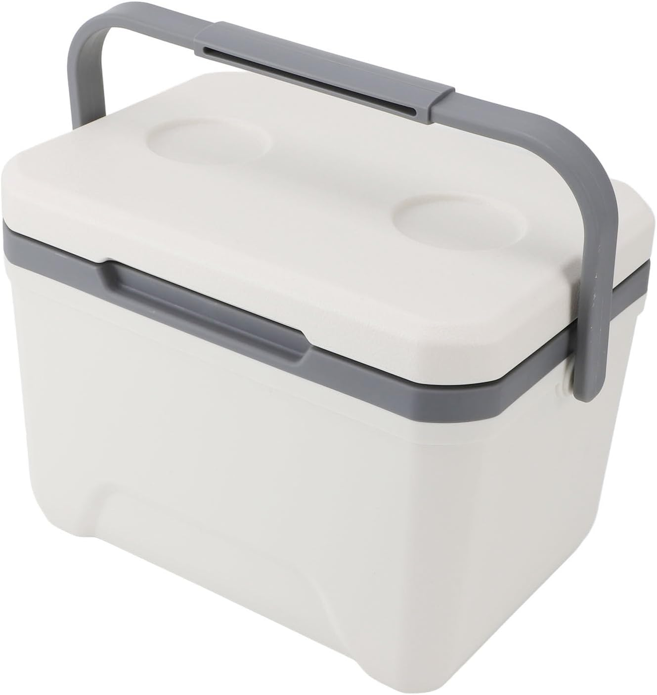 Insulated Portable Cooler, 6L Ice Chest Box, Lightweight Car Organizer Cooler Bag, Leakproof Cooler Box for Car, Travel, Outdoor Camping, BBQ, Beach, Picnic, Drink, Beverage image number 1