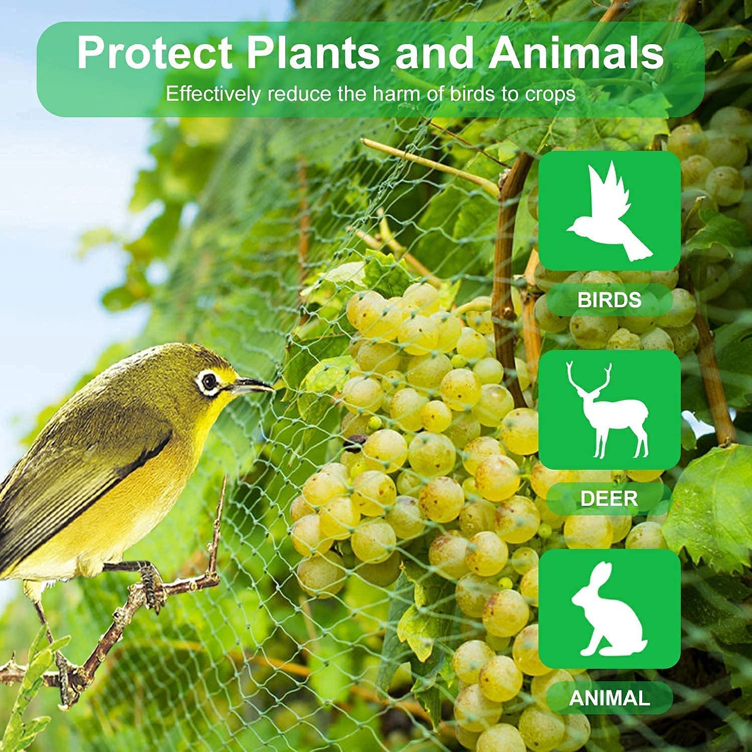 Nylon anti Bird Protection Net,1 Garden Netting Green anti Bird Protection Net Mesh,Garden Netting anti Bird Protection Net,Green anti Bird Net Protects Seedlings Net,Anti Bird Netting Garden Netting image number 5