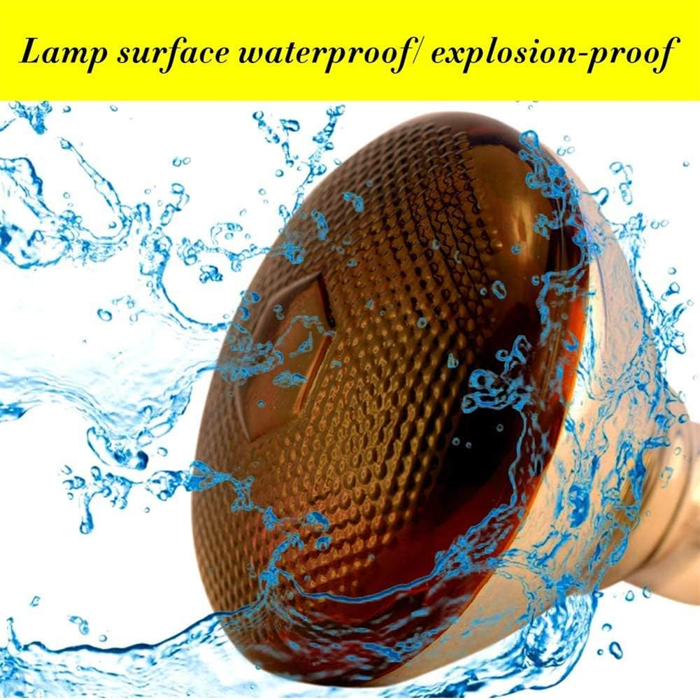 BONGBADA 2 Pack Heat Lamp Infrared Bulbs PAR38 250 Watts Glass Lamp Bulb for Food Service, Brooder Bulb, Chicks, Pet, Bathroom, Light Therapy Use E26 Base, Flood Light Heat Lamp Bulb (Red) image number 5