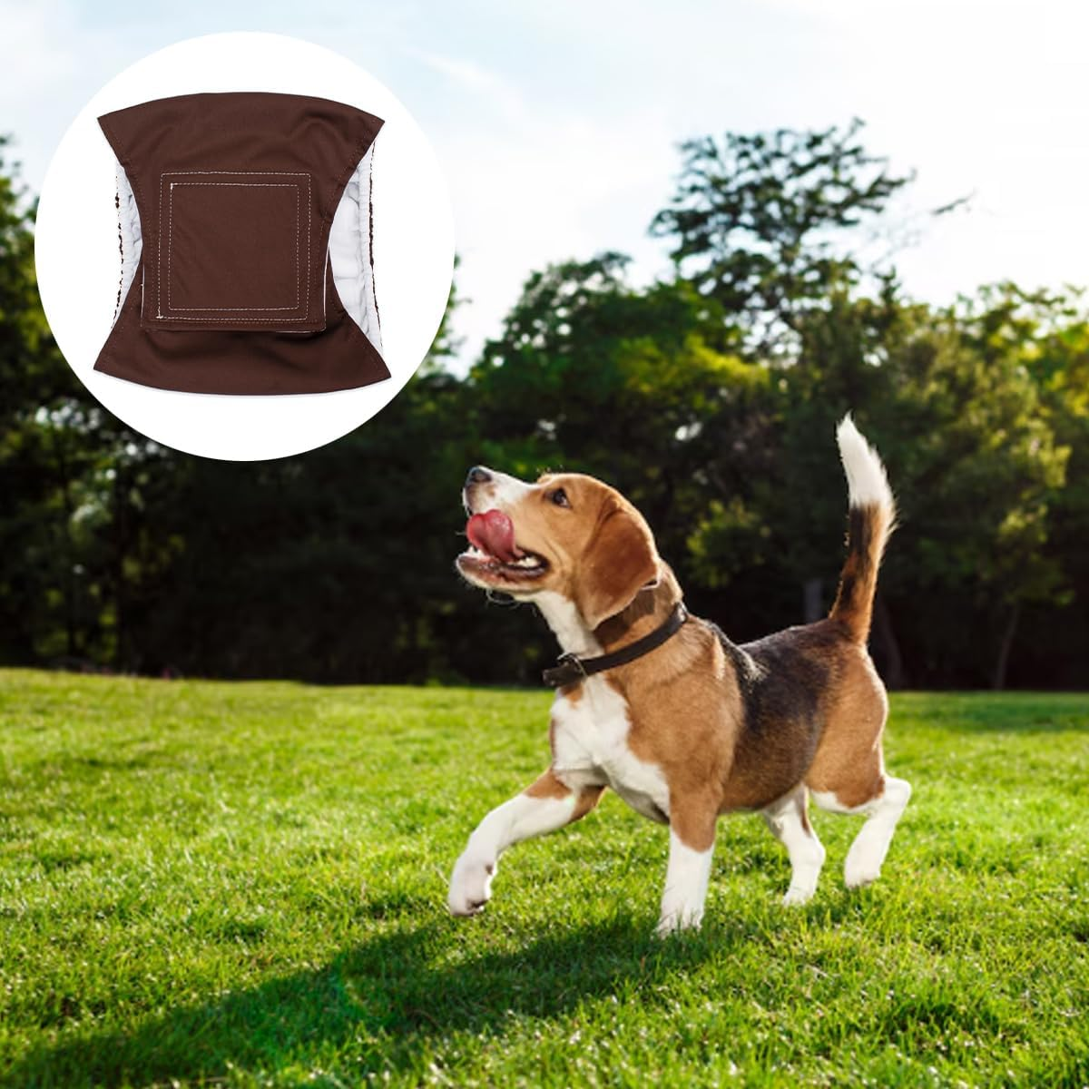 Enwye Washable Male Diapers Incontinence Bandage for Large Adult Dogs XL 68 X 24 Cm Brown