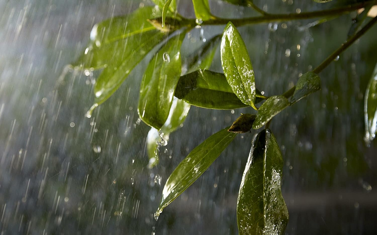 Philips Hue - Outdoor 100 Watt Powersupply image number 3