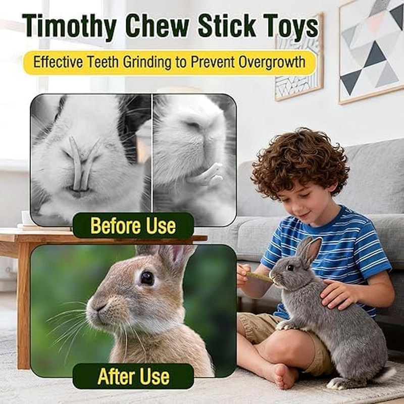 Aovrmuz Rabbits Timothy Hay Chew Sticks 200G Treats Toy for Bunny-Golden Hamsters-Guinea-Pigs-Small Animal Natural Healthy image number 2