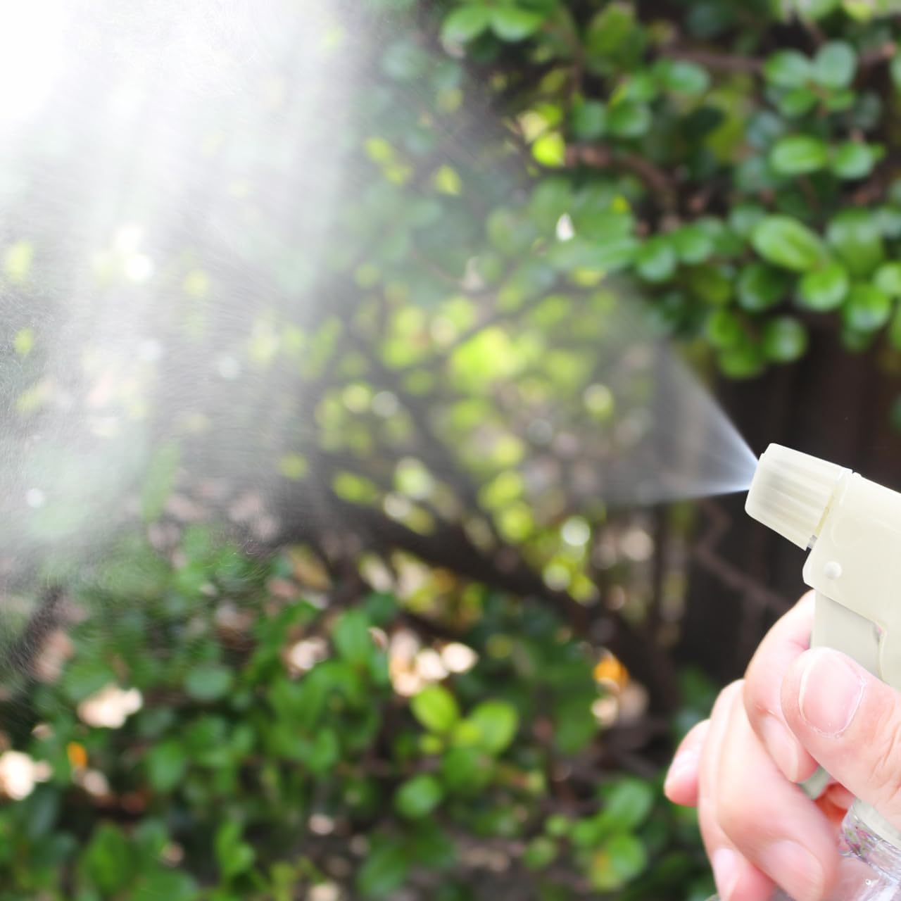 Maruhachisangyou #30 Spray Bottle, Pendulum Hose Type, 10.1 Fl Oz (300 Ml), Ivory, Made in Japan image number 4