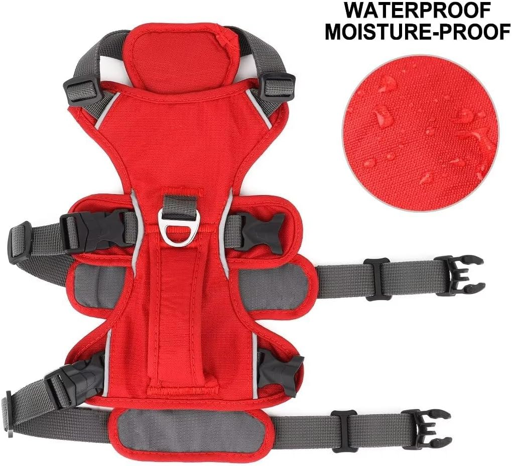 Beirui Escape Proof Dog Harness for Small Medium Large Dogs, Reflective Dog Harness No Pull with Padded Handle, Waterproof Dog Harness for Daily Walking Training (Red,Chest 11-22&rdquo;) image number 5