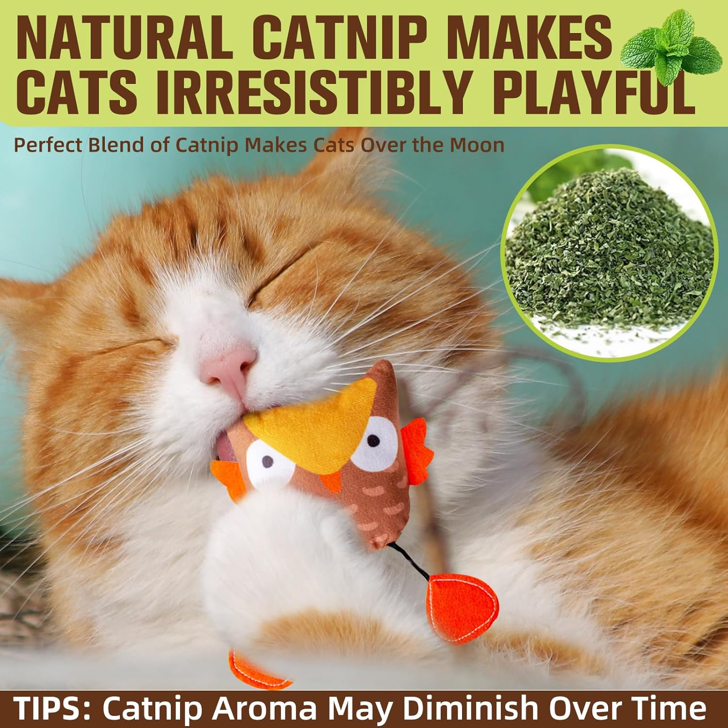 3PCS Realistic Cat Toys with Catnip &ndash; Lifelike Insect Plush Toys for Kittens, Durable Interactive Kicker Toys for Indoor Cats, Encourages Exercise & Play, Soft Biting & Hunting Fun image number 4