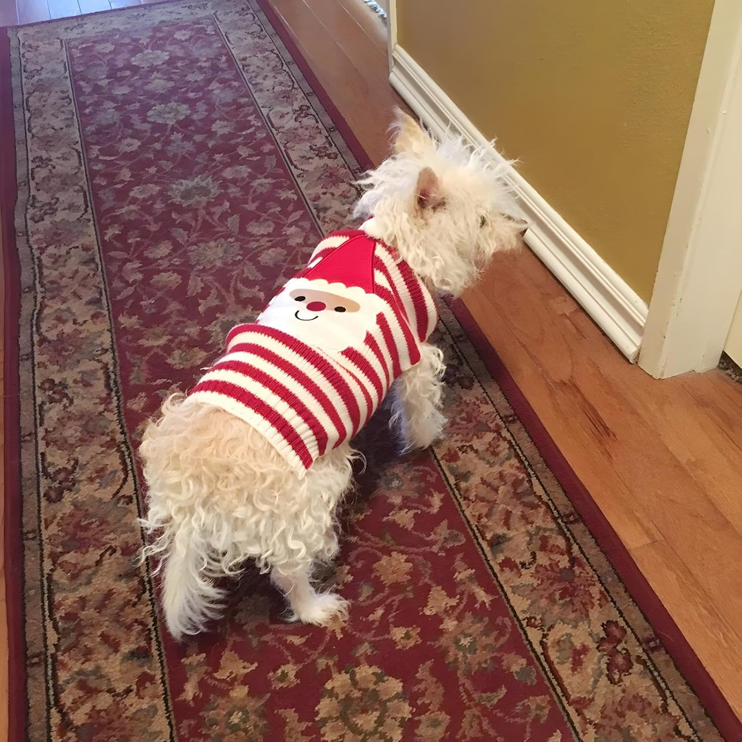 NACOCO Santa Claus Pet Sweater Dog Sweaters Cold Weather Outfit for Small to Medium Sized Dogs and Cats for Christmas Day (Medium) image number 2