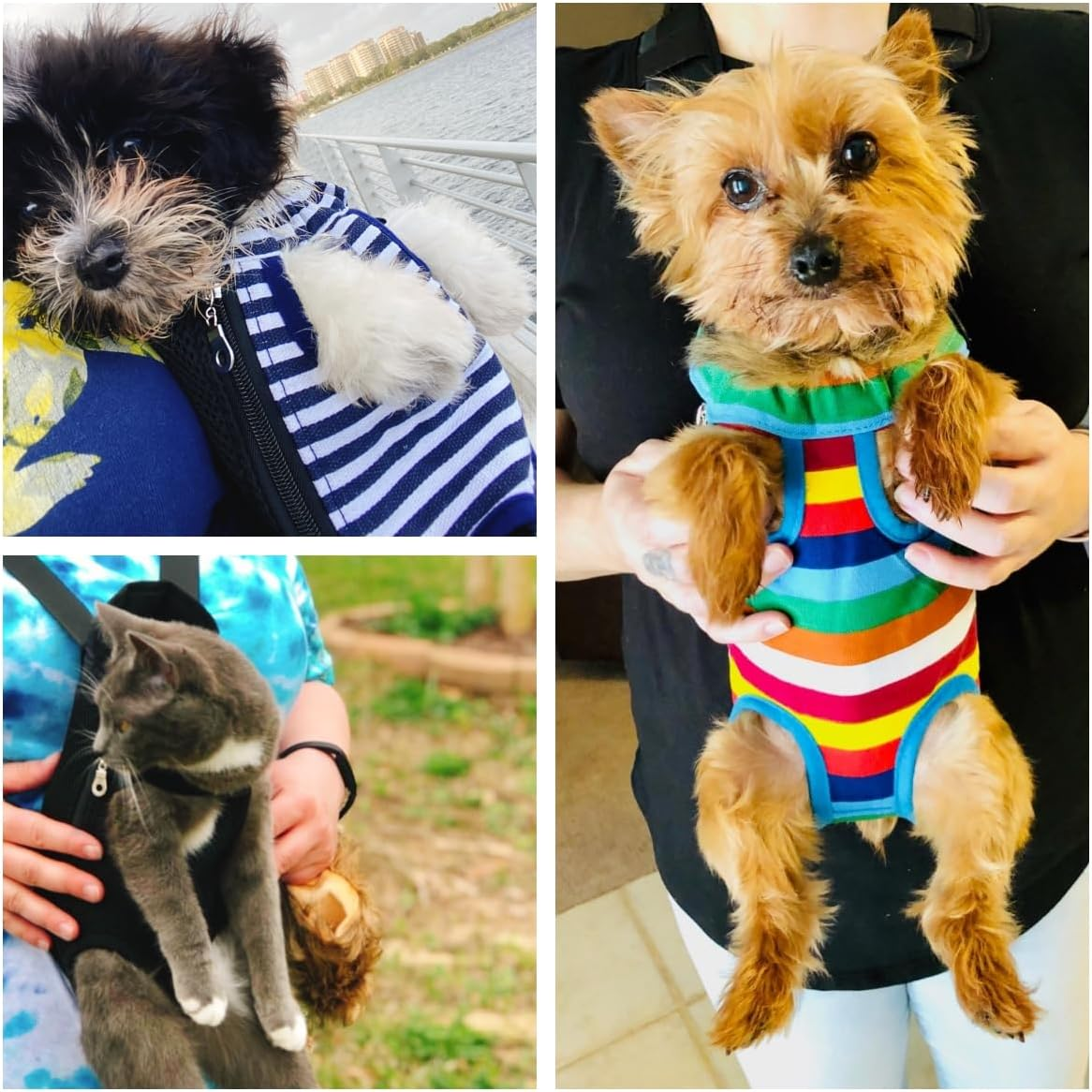 GAHOSG Dog Cat Carrier Backpack Adjustable Pet Carrier Backpack Travel Bag, Easy-Fit for Traveling Hiking Camping for Small Medium Dogs Cats Puppies,Black, Large image number 1