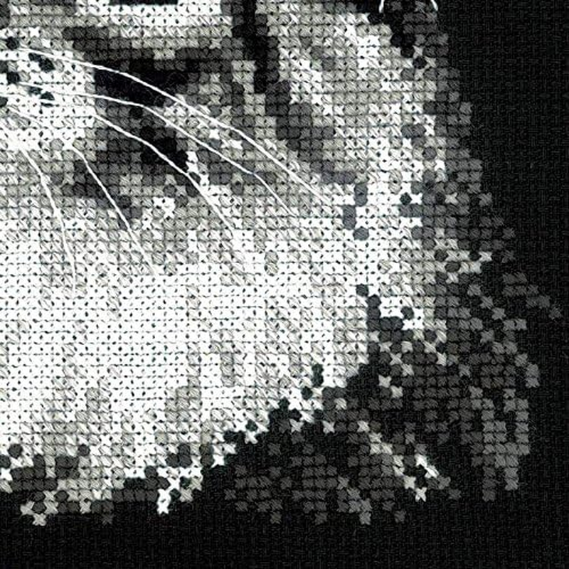 Riolis Maine Coon Cross Stitch Kit &ndash; 1599 Cotton Multi-Color, 21 X 30 X 0.1 Cm image number 6