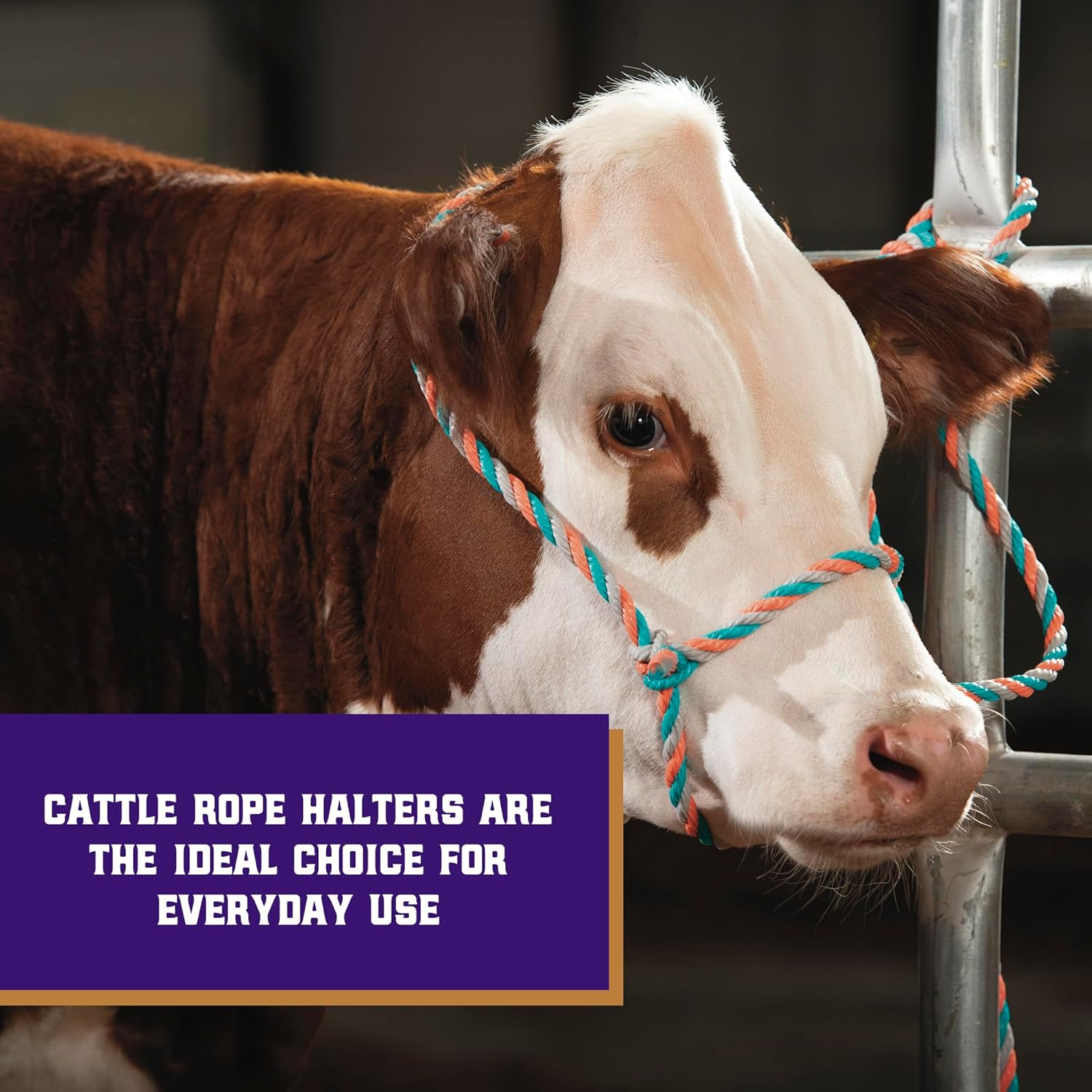 Weaver Leather Livestock Cattle Poly Rope Halter image number 2