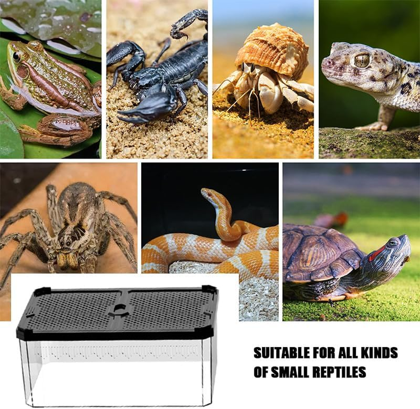 Reptile Acrylic Feeding Box with Sliding Door,19X12.5X9.3Cm Small Reptile Habitat,Lizard Terrarium,Breeding Box for Bearded Dragons, Sliding Cover Keeper for Snakes, Geckos,Reptiles Enclosure (M) image number 2