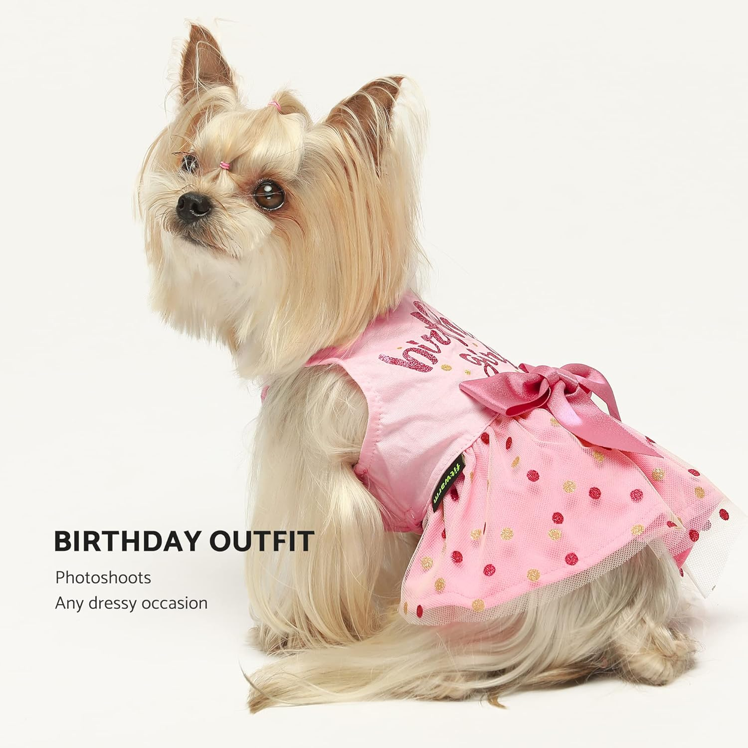 Fitwarm Birthday Girl Dog Tulle Dress, Dog Clothes for Small Dogs Girl, Cat Apparel, Pink, Large image number 6